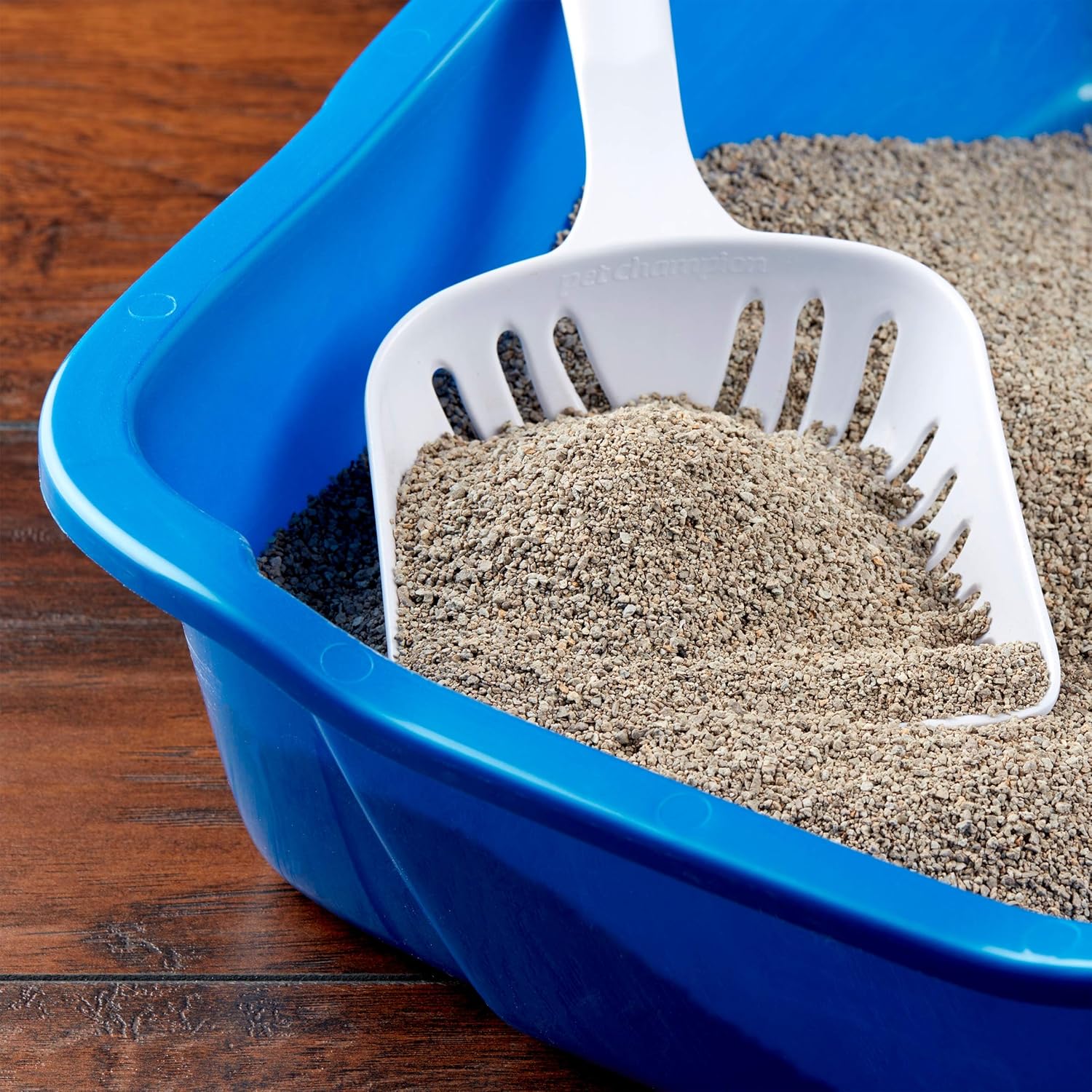 special kitty kitty litter