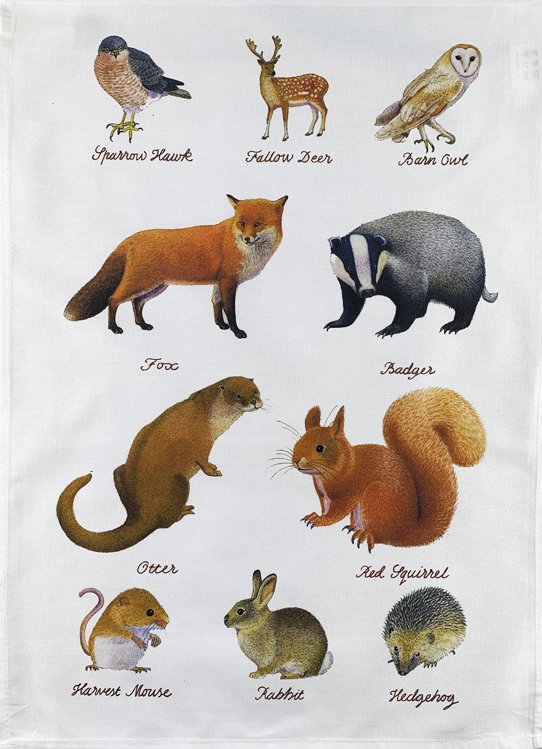 Half A Donkey White Hand Drawn Wildlife Animals Large Cotton Tea Towel