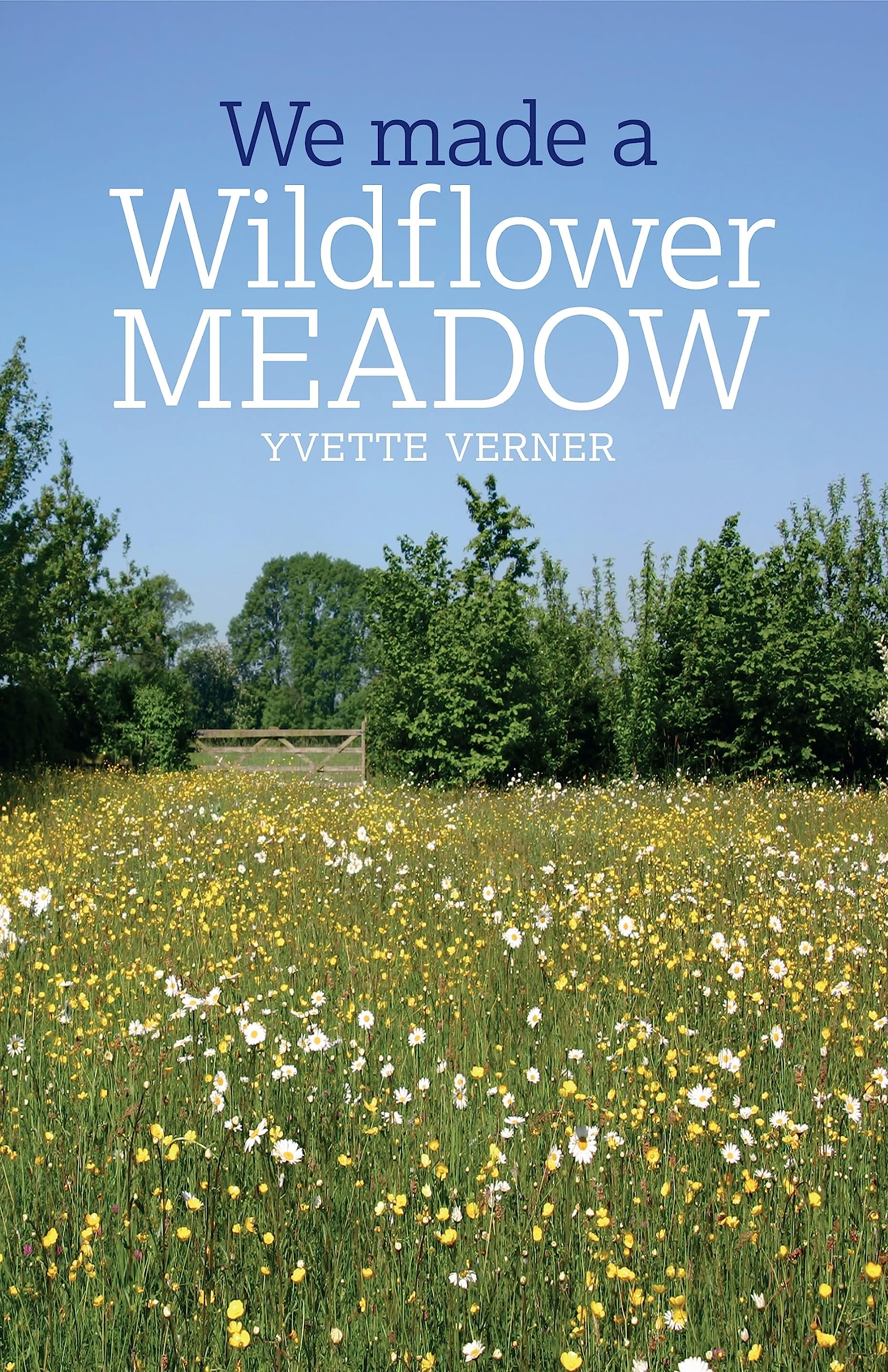 Buy We Made a Wildflower Meadow — BookShops.in