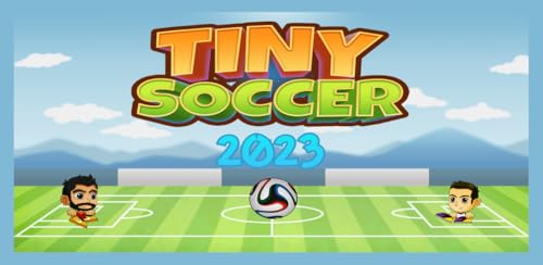Tiny Soccer 2023