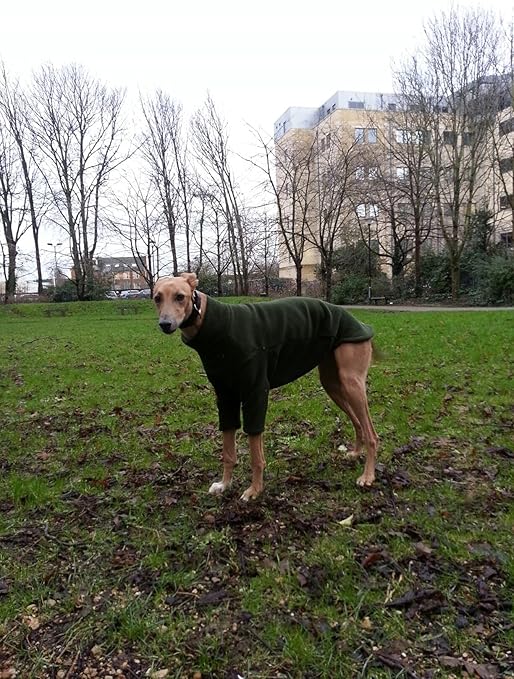 equafleece whippet