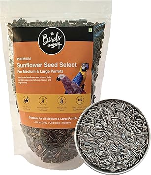 The Birds Company Striped Sunflower Seed with Spirulina, Bird Food for Conures, Lovebirds, Cockatiels, African Grey, Macaws, Cockatoo, Parakeets & Parrots, 450 G - image, photos