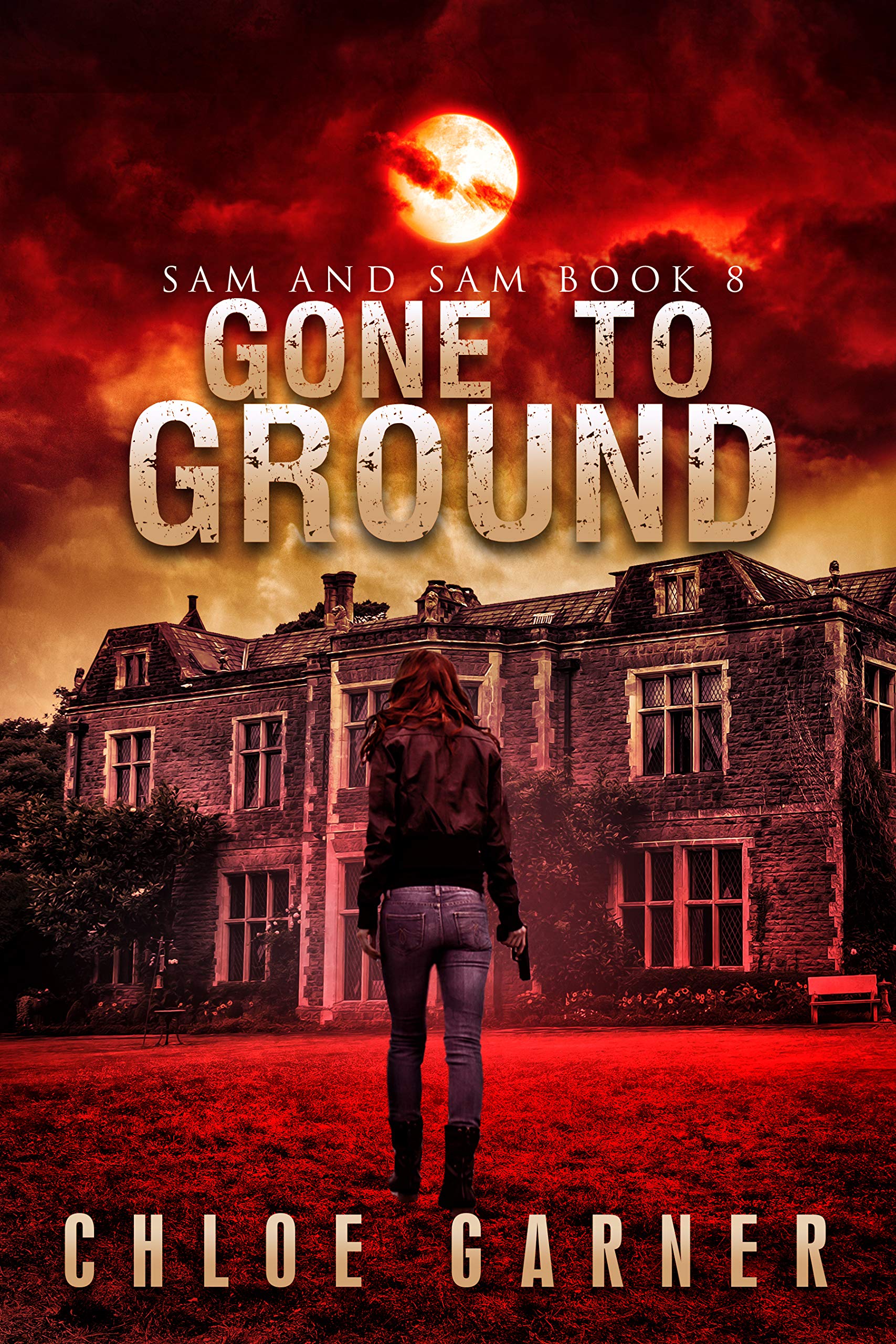 Cover of Gone to Ground