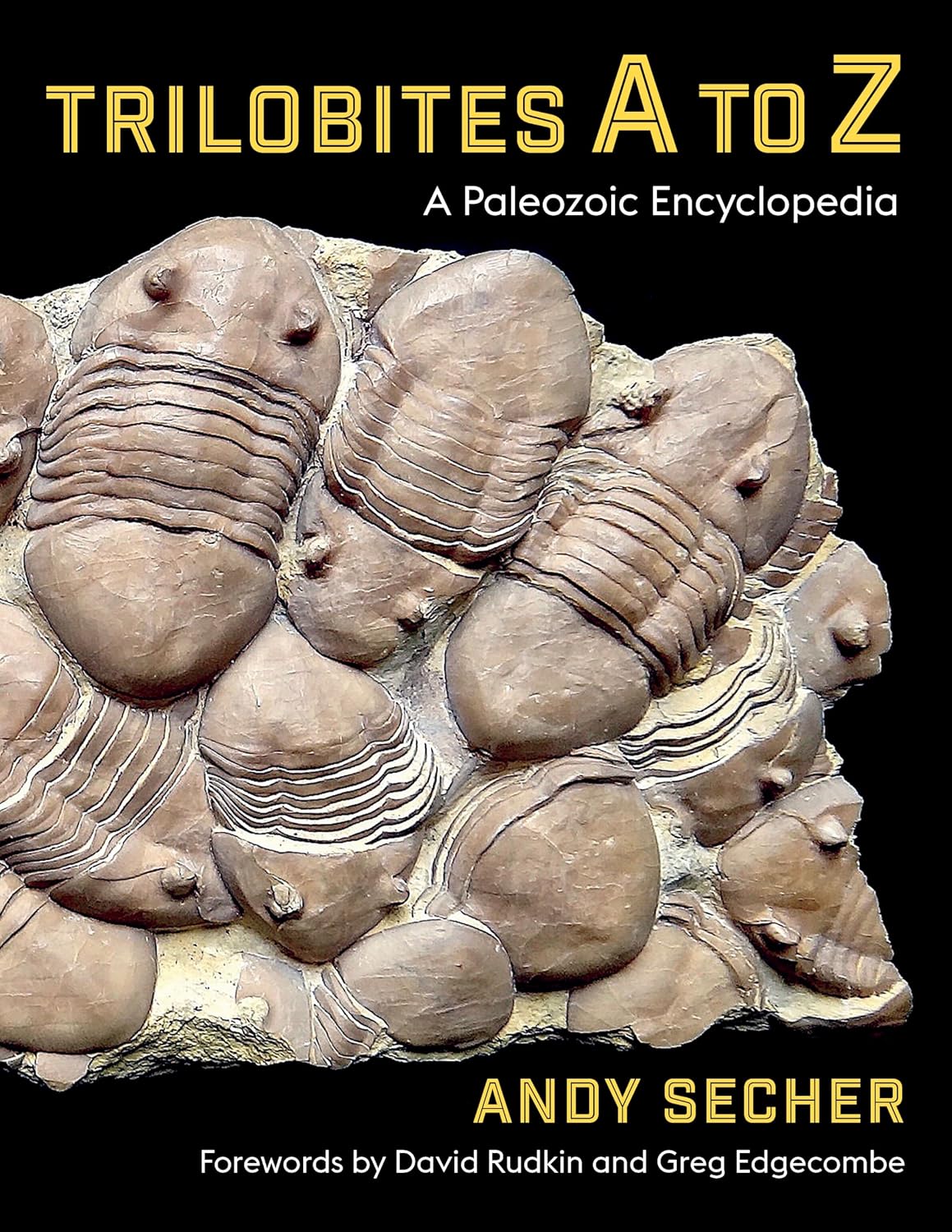 Trilobites A to Z: A Paleozoic Encyclopedia