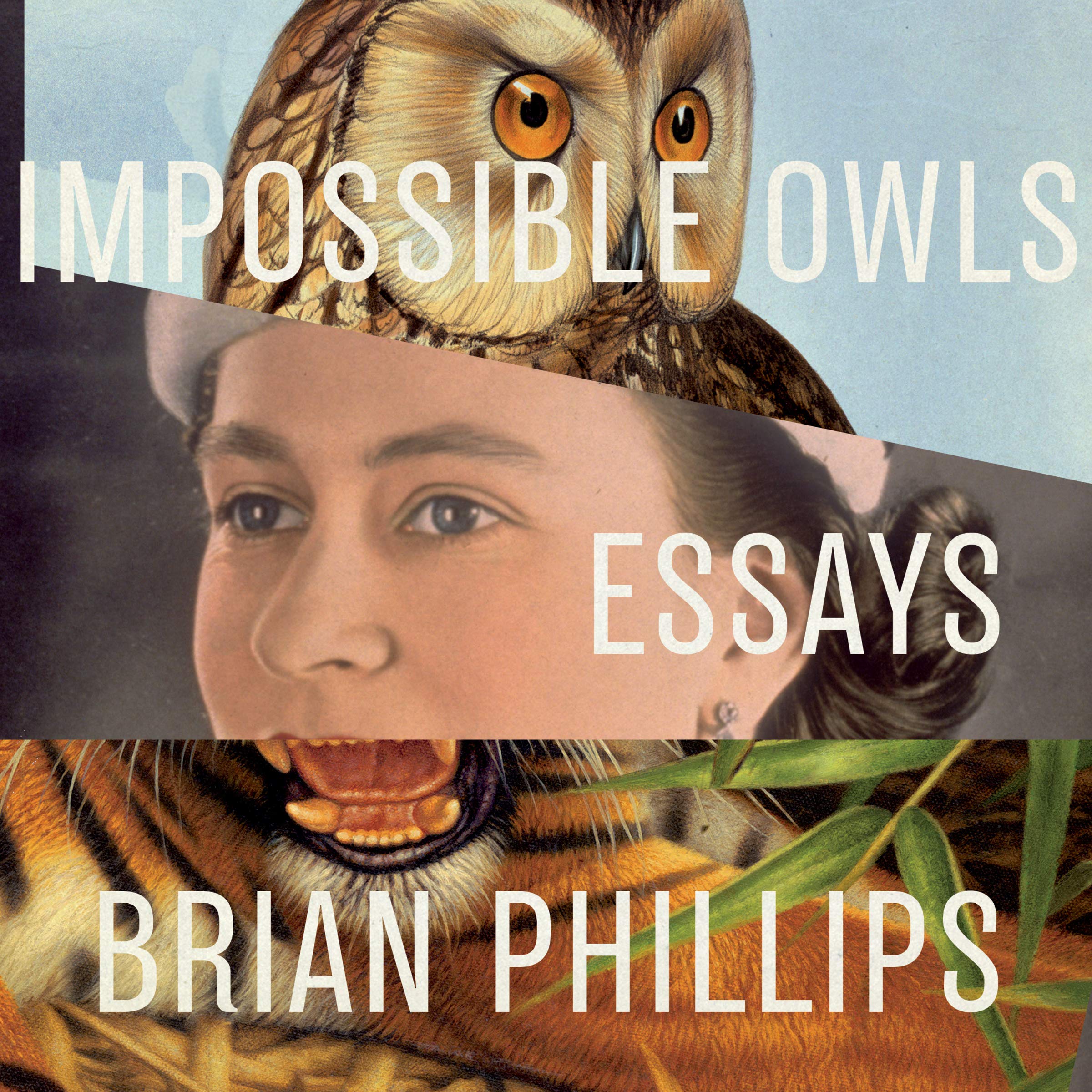 Cover art for Impossible Owls