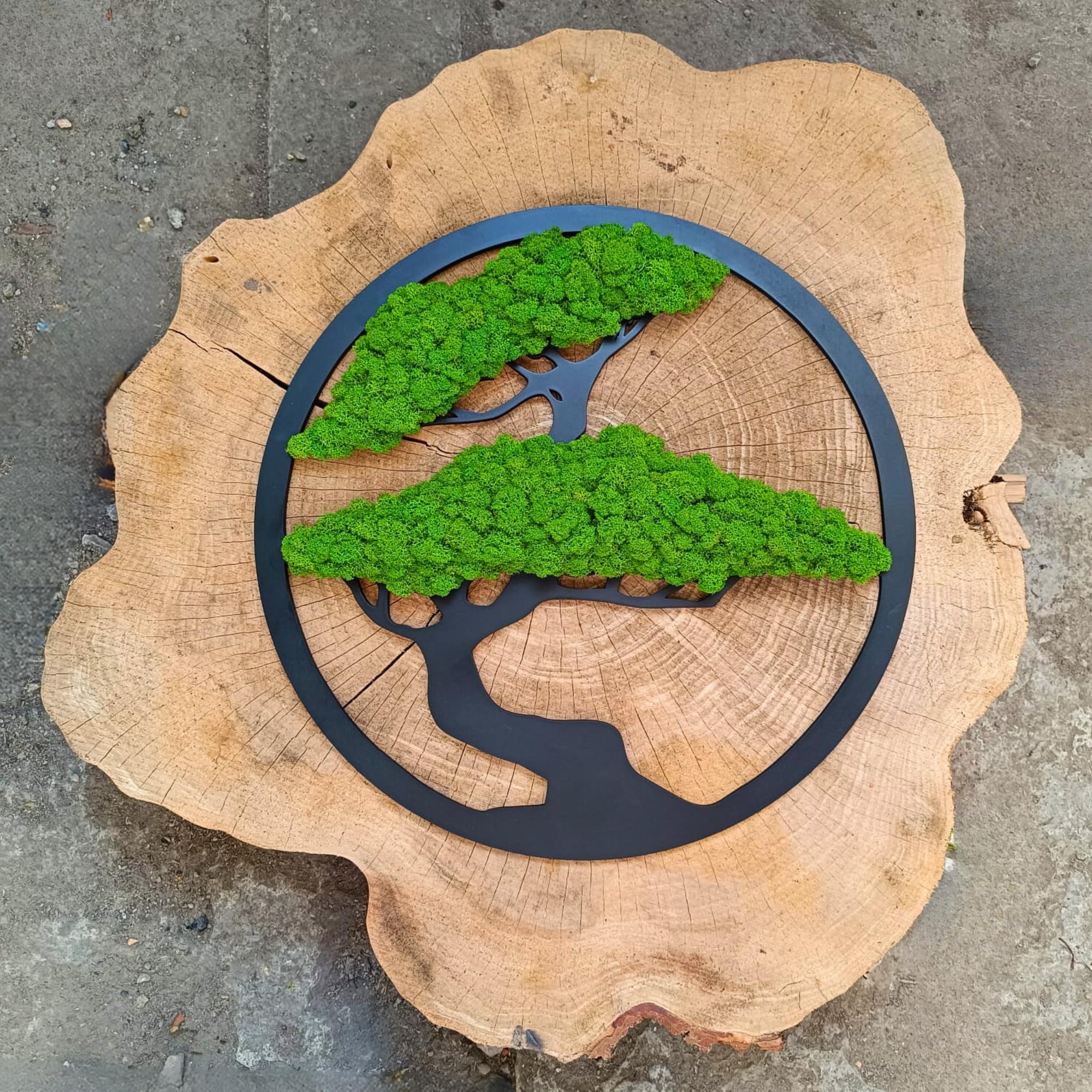 Scandinavian Moss Moosbilder Baumform Wandbild 30cm Natürliche Rohstoffe Deko Moos