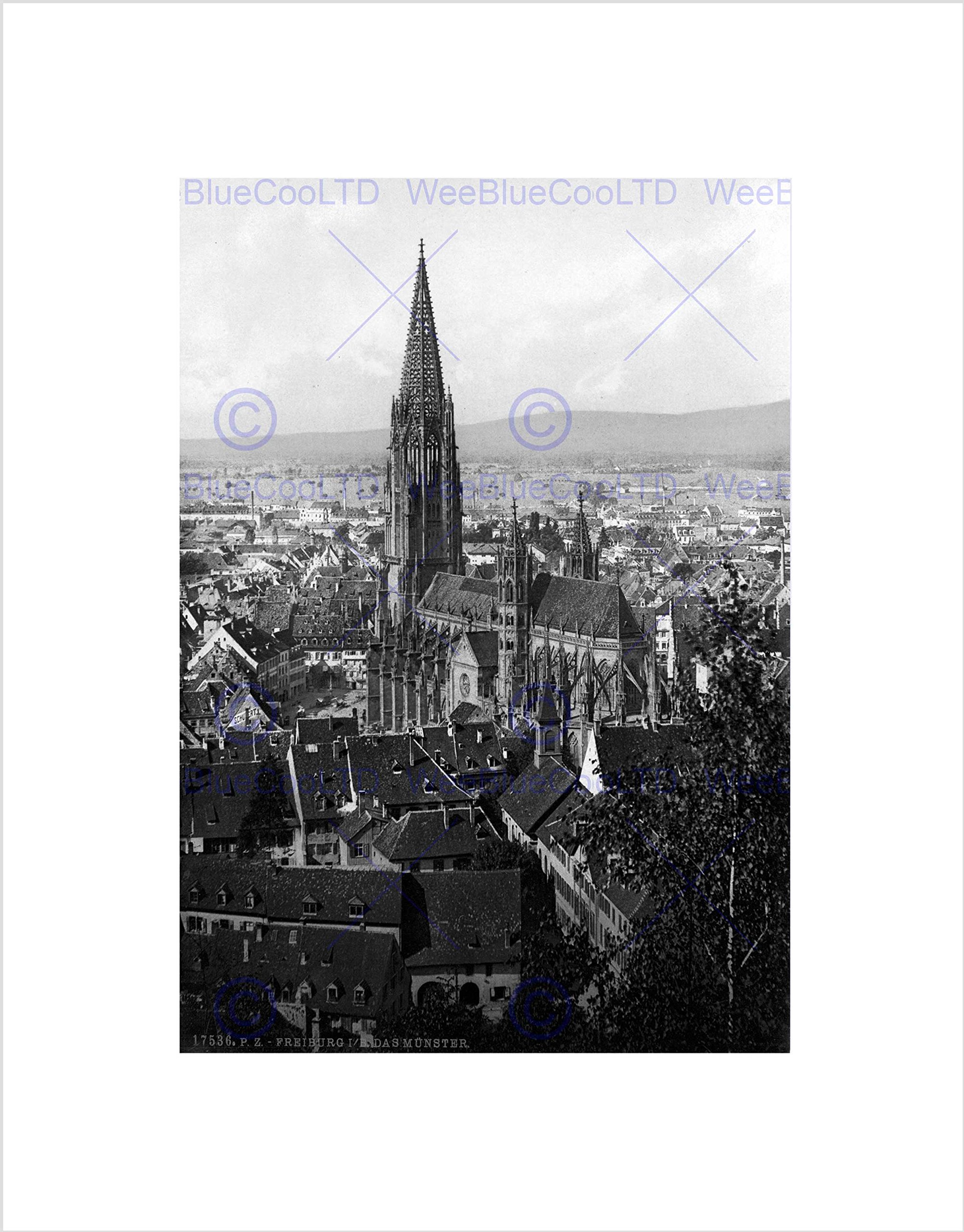 Wee Blue Coo THE CATHEDRAL FREIBURG BADEN GERMANY 1895 OLD BW FRAMED ART PRINT MOUNT B12X1152