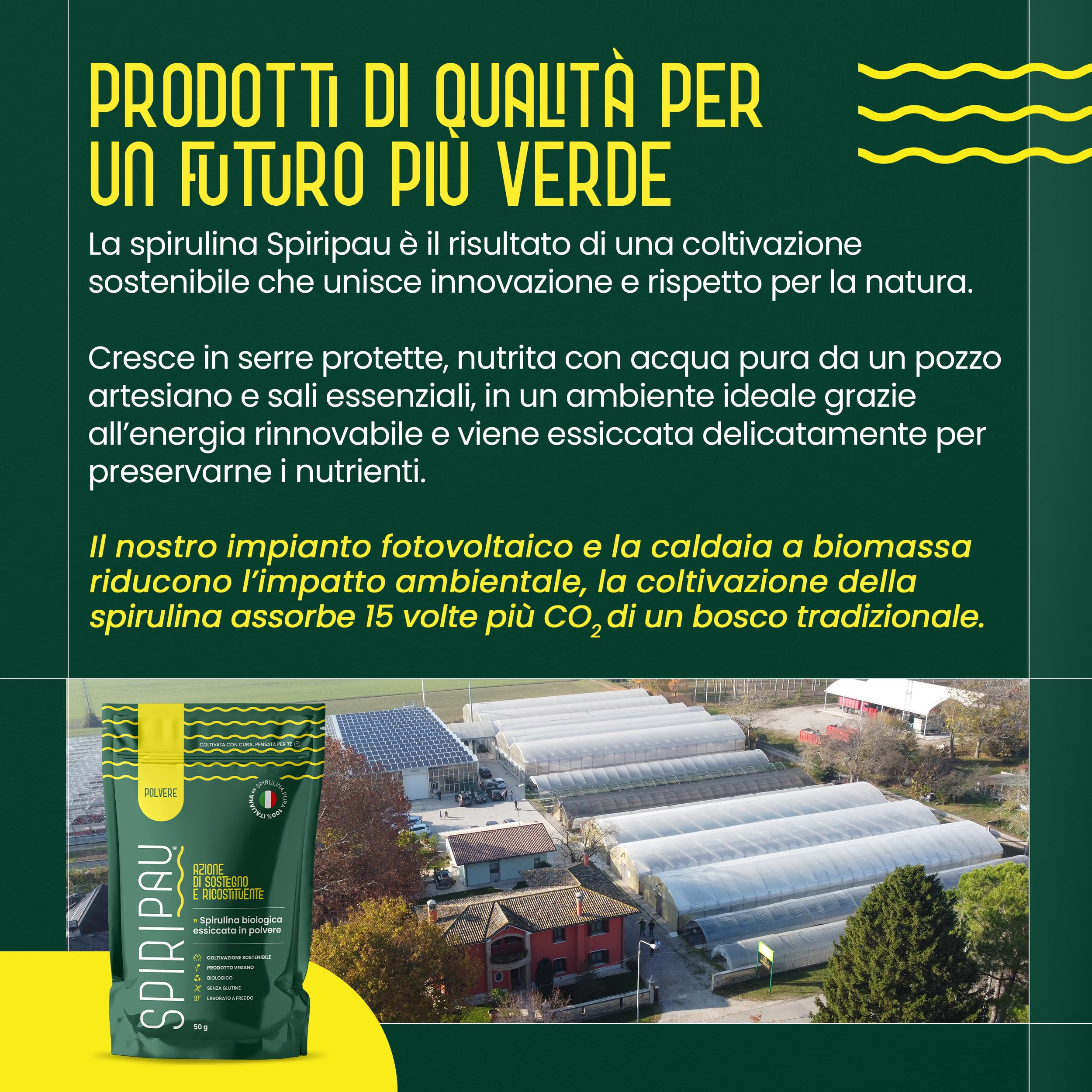 Spiripau Spirulina Bio Italiana in Polvere 50gr - Superfood Naturale - 100% Made in Italy - Azione Ricostituente - Prodotto Vegano, Senza Glutine, Biologico - Lavorato a Freddo