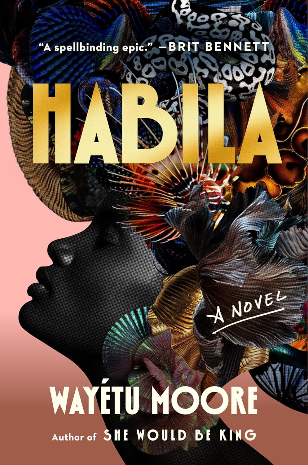 Habila: A Novel      Hardcover – January 12, 2027