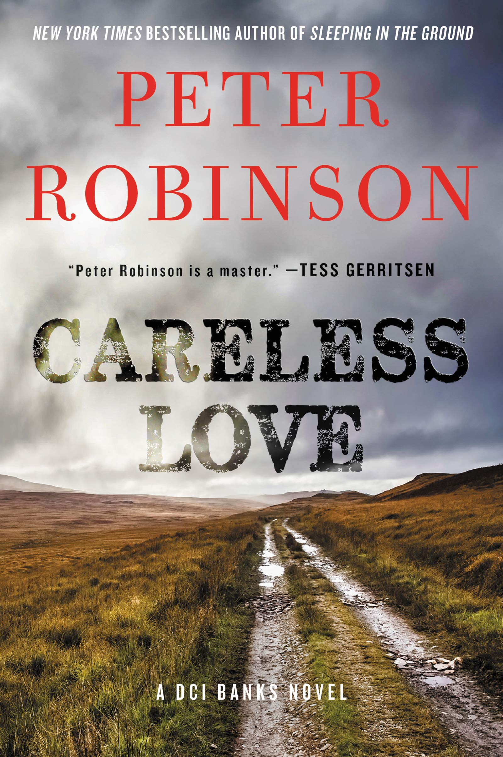 CARELESS LOVE: A DCI Banks Novel: 25 (Inspector Banks Novels) - Robinson, Peter