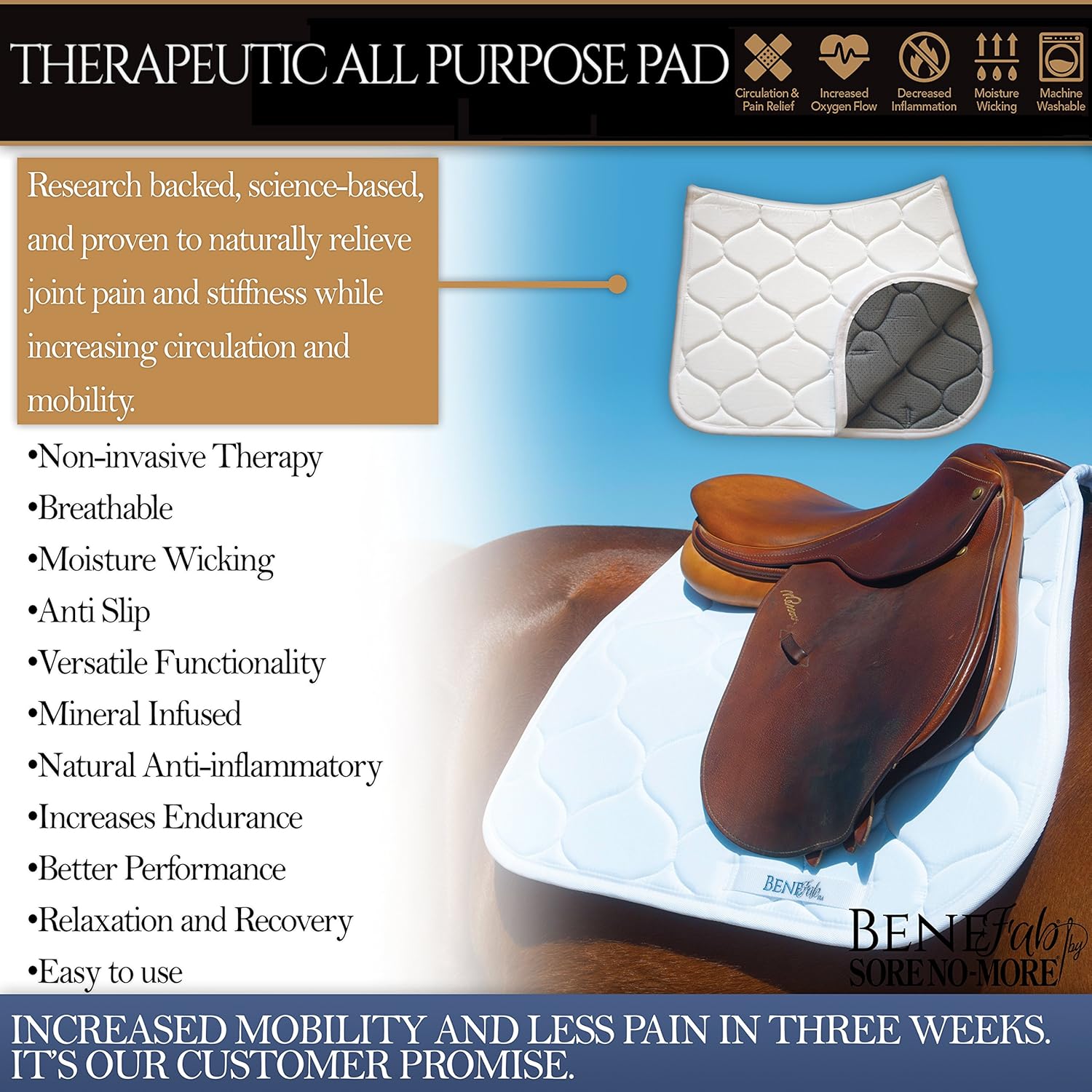 BeneFab by Sore No-More Anti-Slip All Purpose Pad