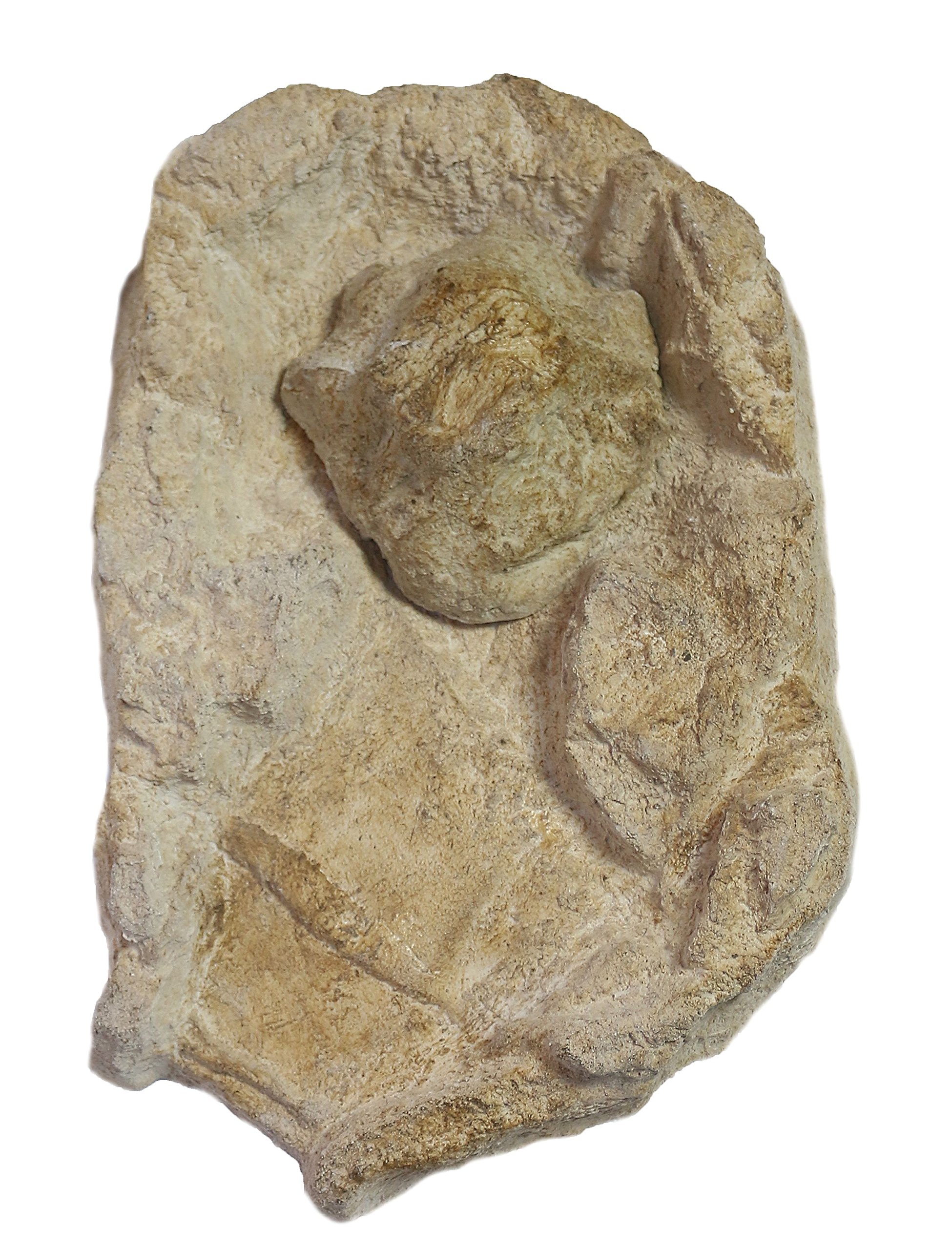 Fontane a Cascata Bacino con Sorgente Fulda Sorgente Grande con Protezione antispruzzi, Beige/Marrone, 60 x 41 x 8 cm