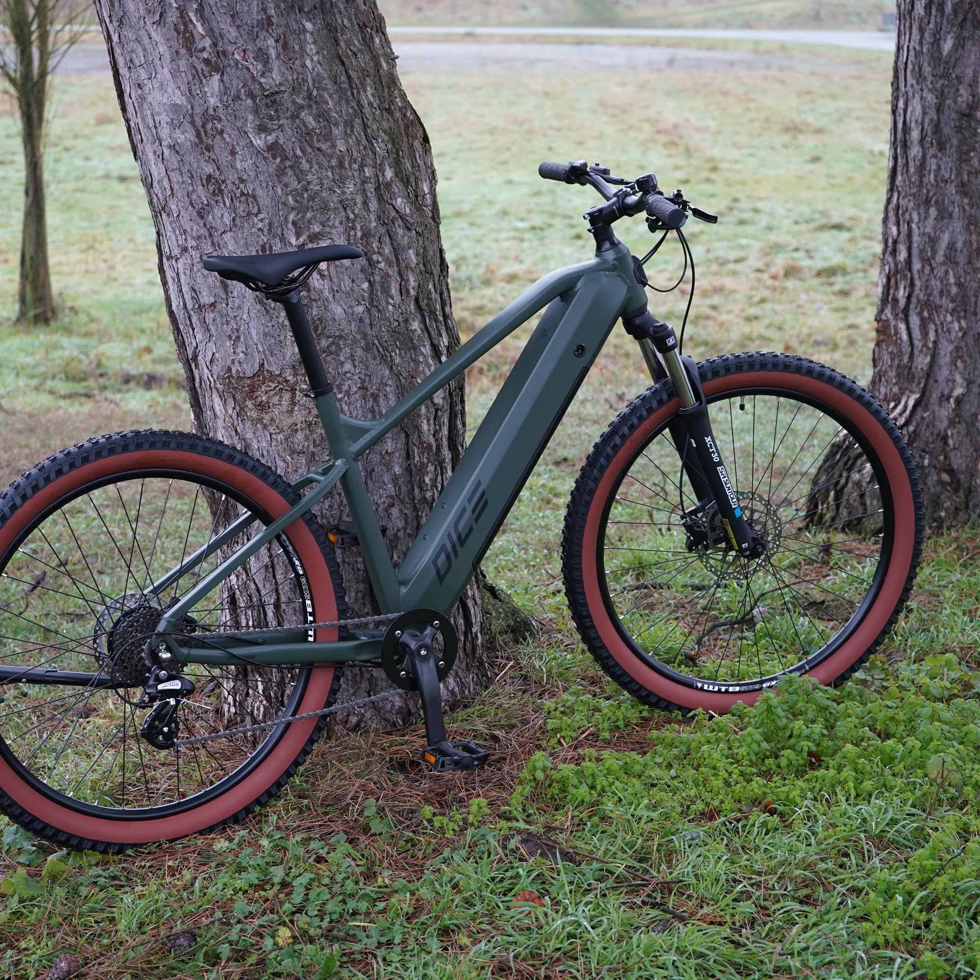 Prophete DICE 1.0 E-MTB 27,5" – Enovation Hinterradmotor 250W, 40Nm, Shimano Altus 8-Gang, 100 km Reichweite, Suntour XCT Federgabel, Hydraulische Scheibenbremse, Bronze Grün