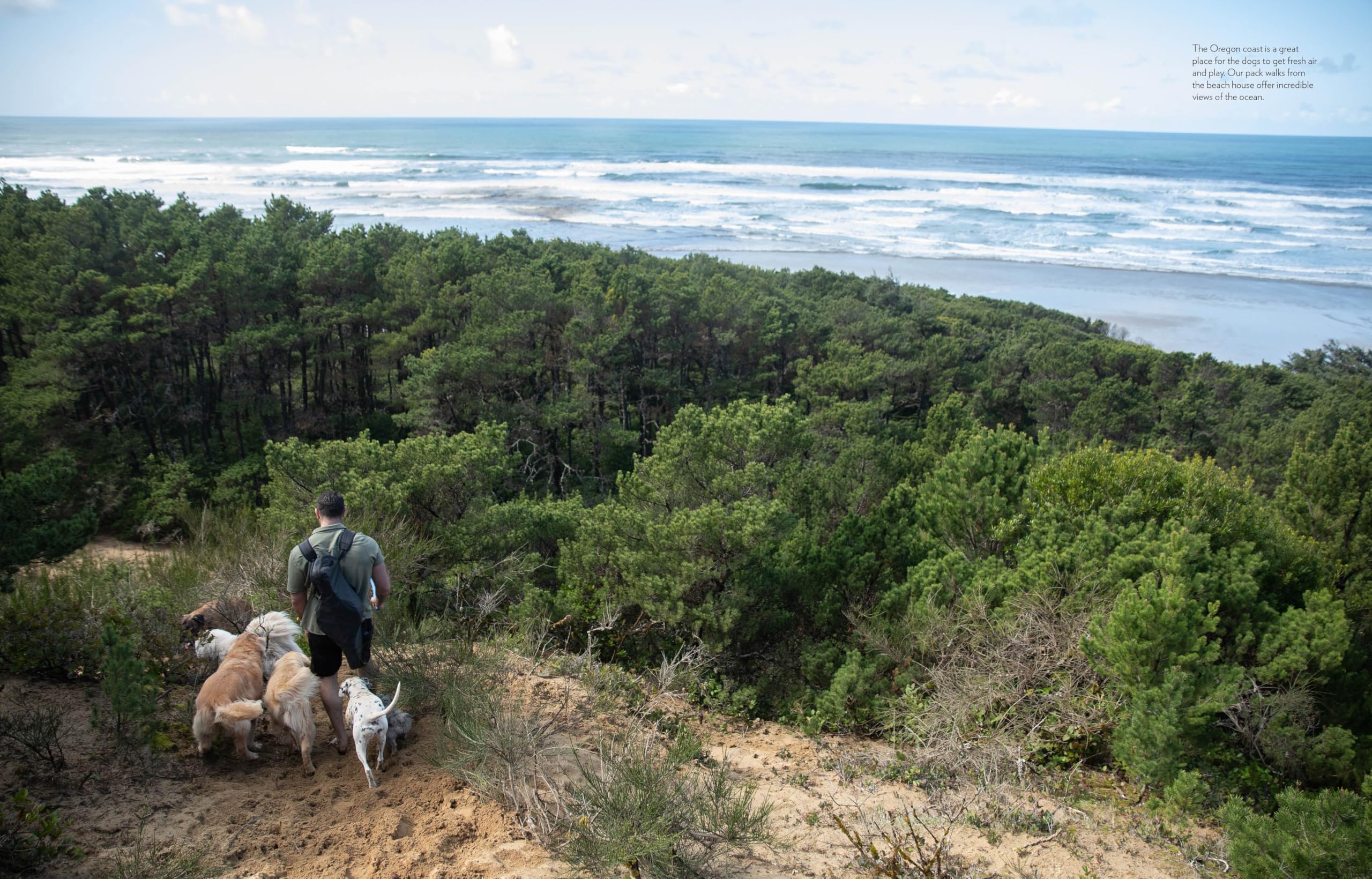Saved by the Pack: How 50 Dogs Helped Me Find My Purpose