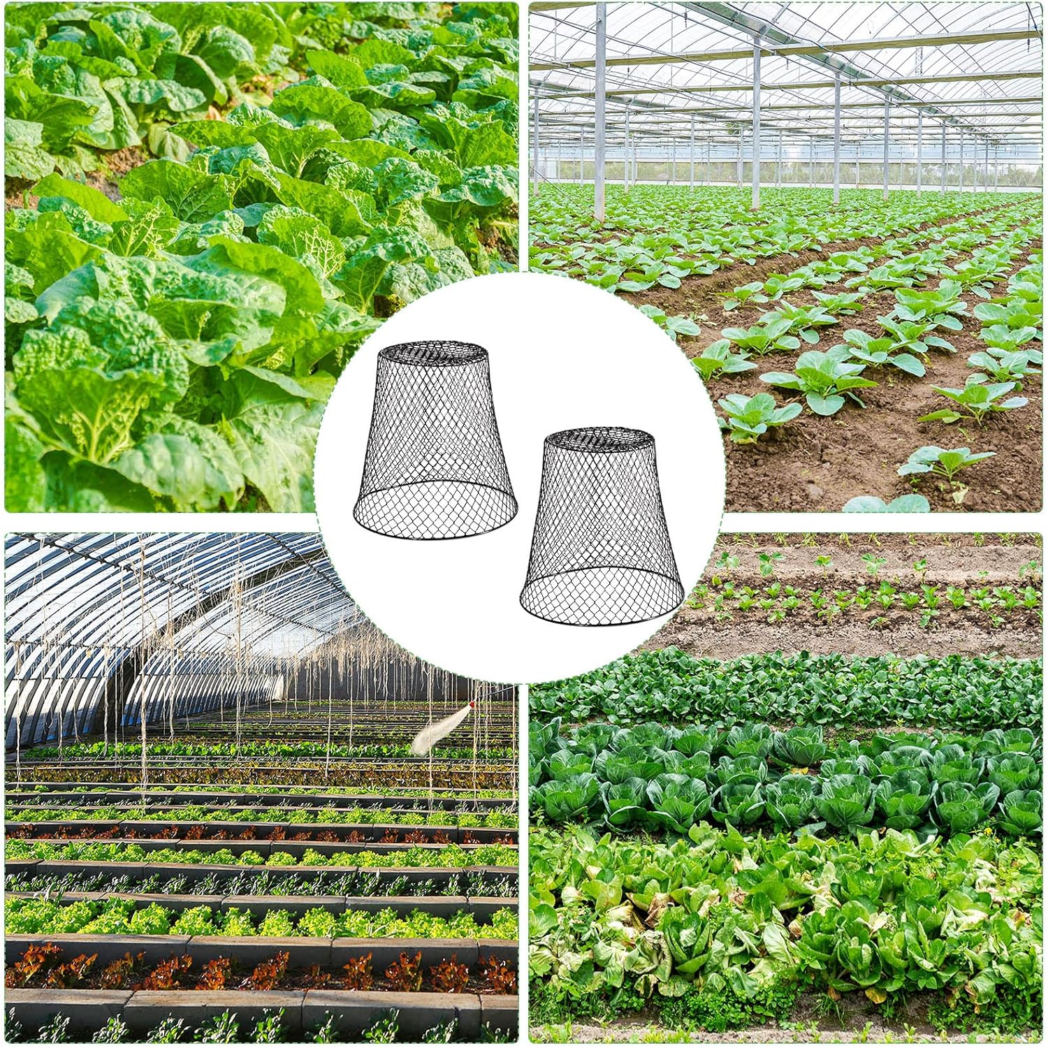 20 Pcs 9×9inch Chicken Wire Plant Covers Wire Garden Cloches Chicken Wire Cloche Plant Protector Metal Heavy Duty Garden Plant Cloche for Keeping Bunnies Chicken Squirrels Birds Other Out