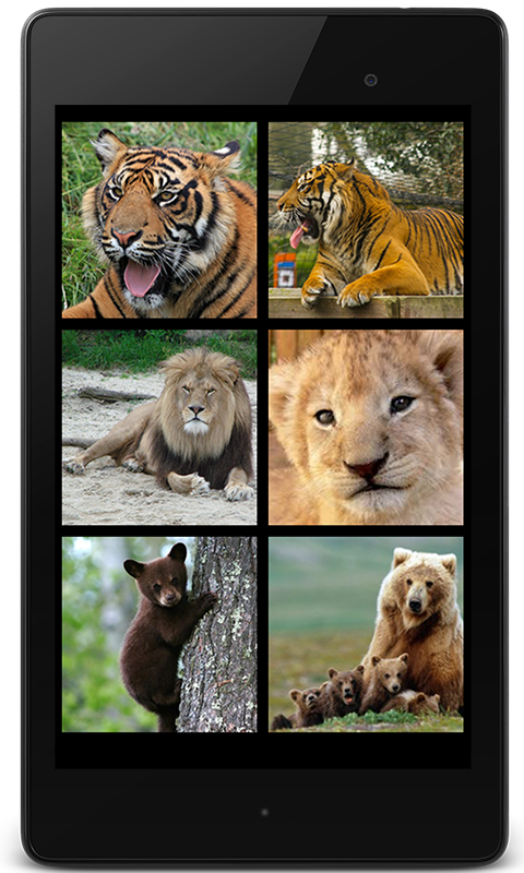 猛獣の鳴き声 トラ ライオン クマ Amazon Co Jp Appstore For Android