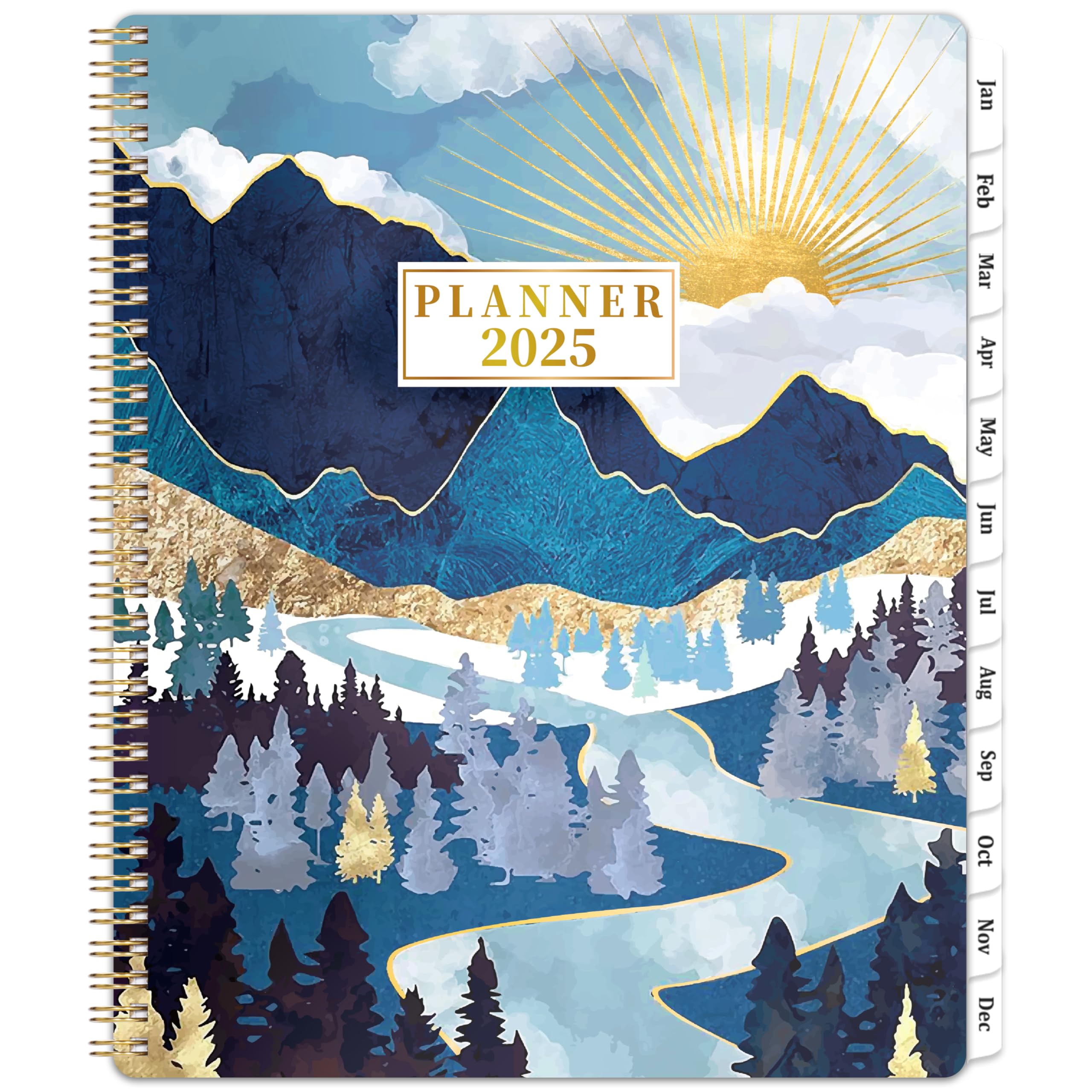 Snapklik.com : 2025 Planner - Planner 2025, JAN 2025 - DEC 2025, 9" X ...