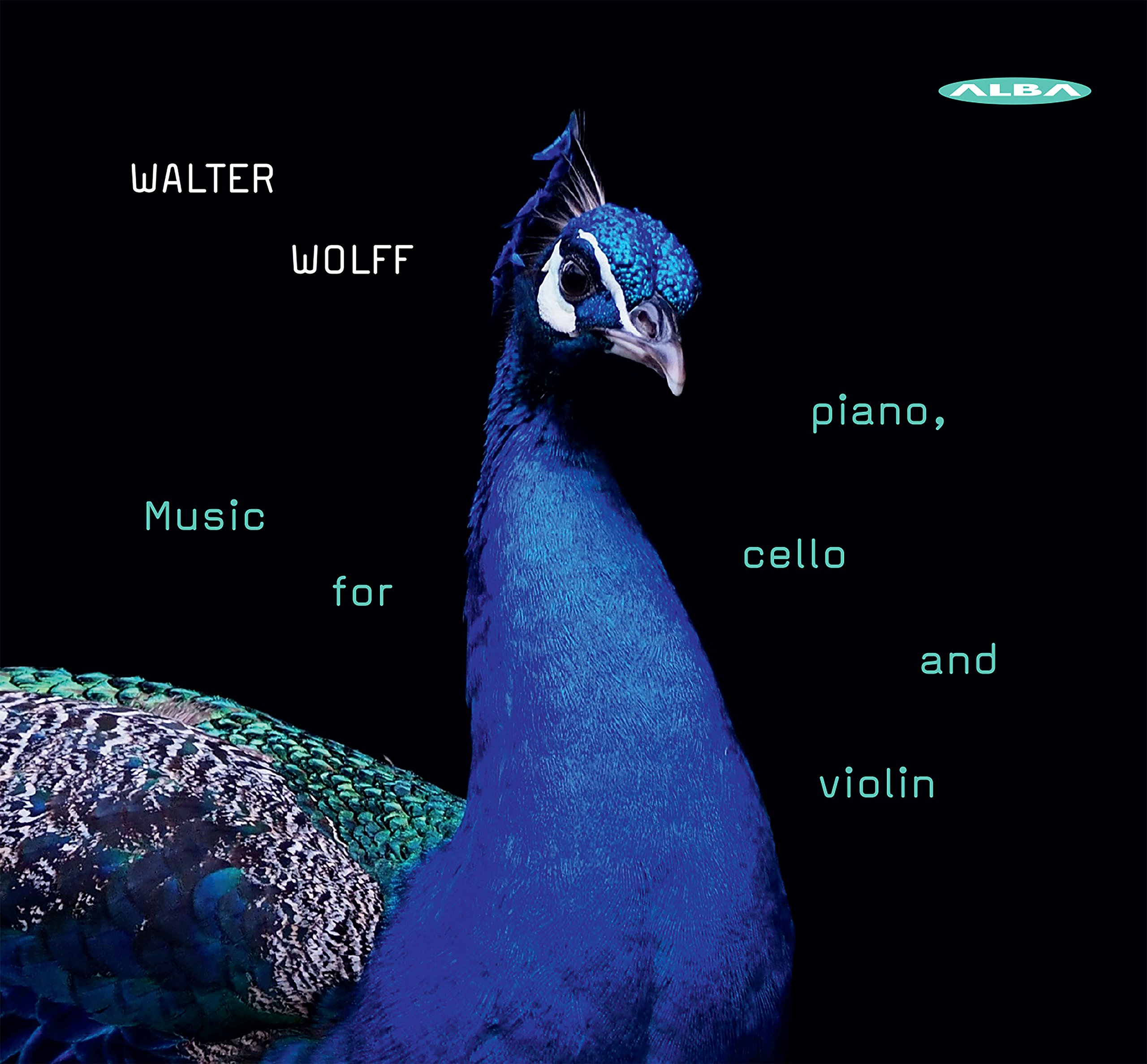 Music for Piano,Cello & Violin - Gabi Sultana (piano)