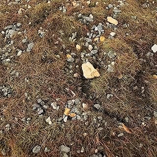 Simulation Ground Grass Static Scenery 50 Cover for Table Model Train Fairy Garden Architecture Building Kit Dioramas, Autumn Grass