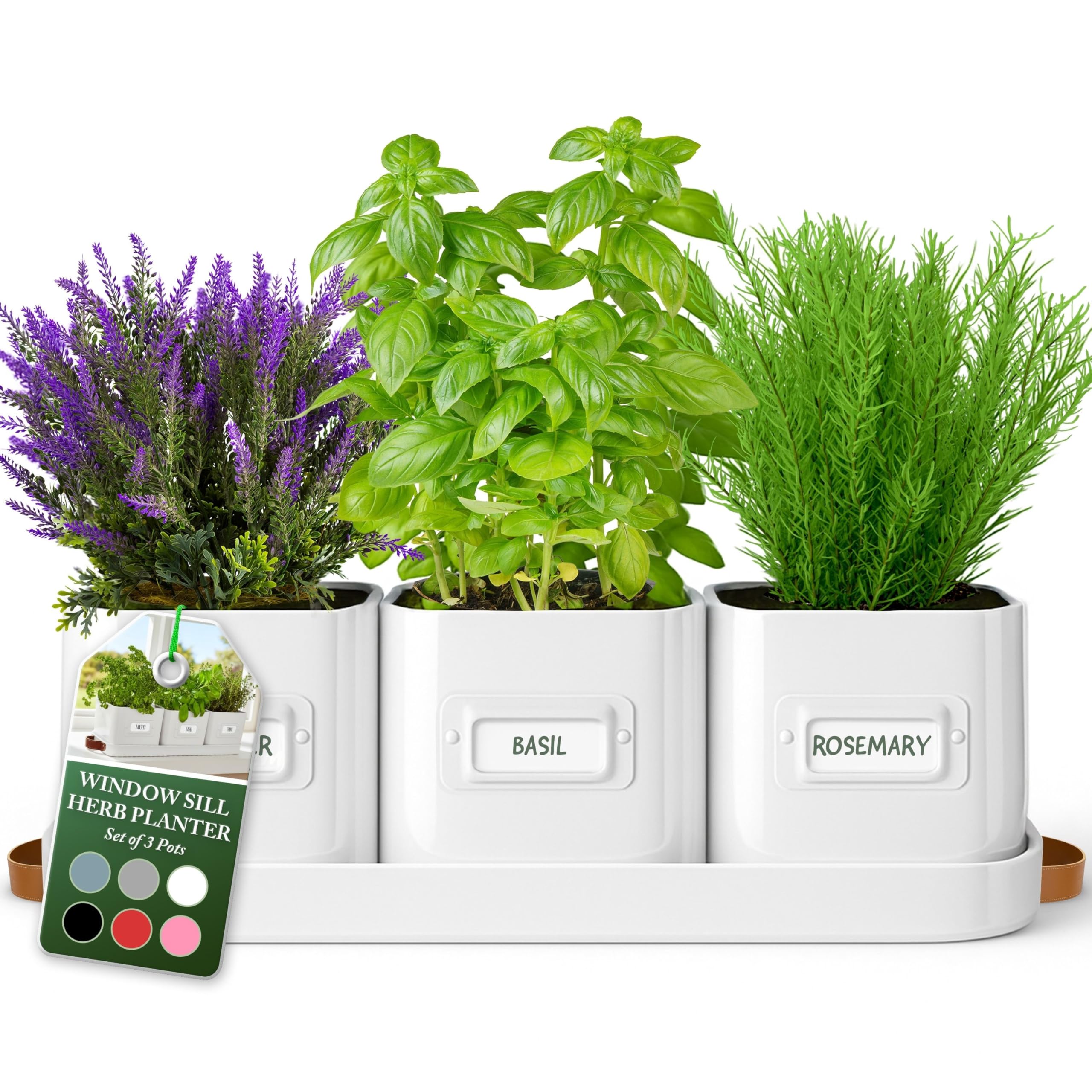 Amazon.com : volila Herb Planter Indoor - Set of 3 Warmstone