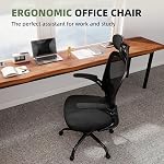 Flysky Ergonomic Office Chair with Adjustable Headrest & Flip-up Arms | Computer Desk Chair with Lumbar Support , Comfortable for Home, Office, Conference Room