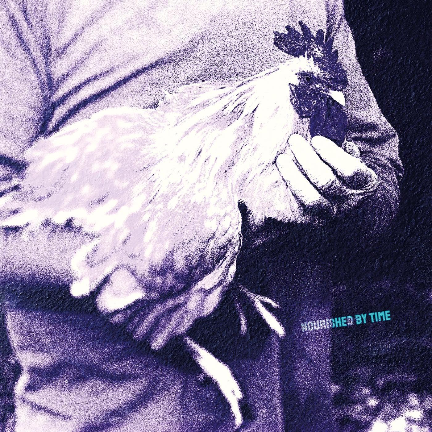 Catching Chickens Ep [VINYL]