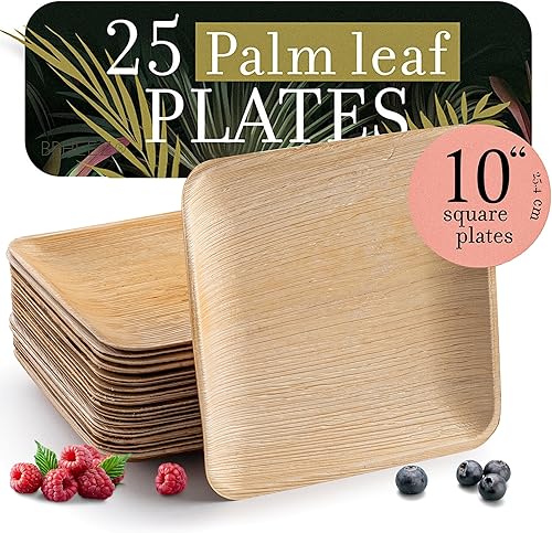 brheez - Platos y cuencos de bambú desechables, diseño de hoja de palma, biodegradables