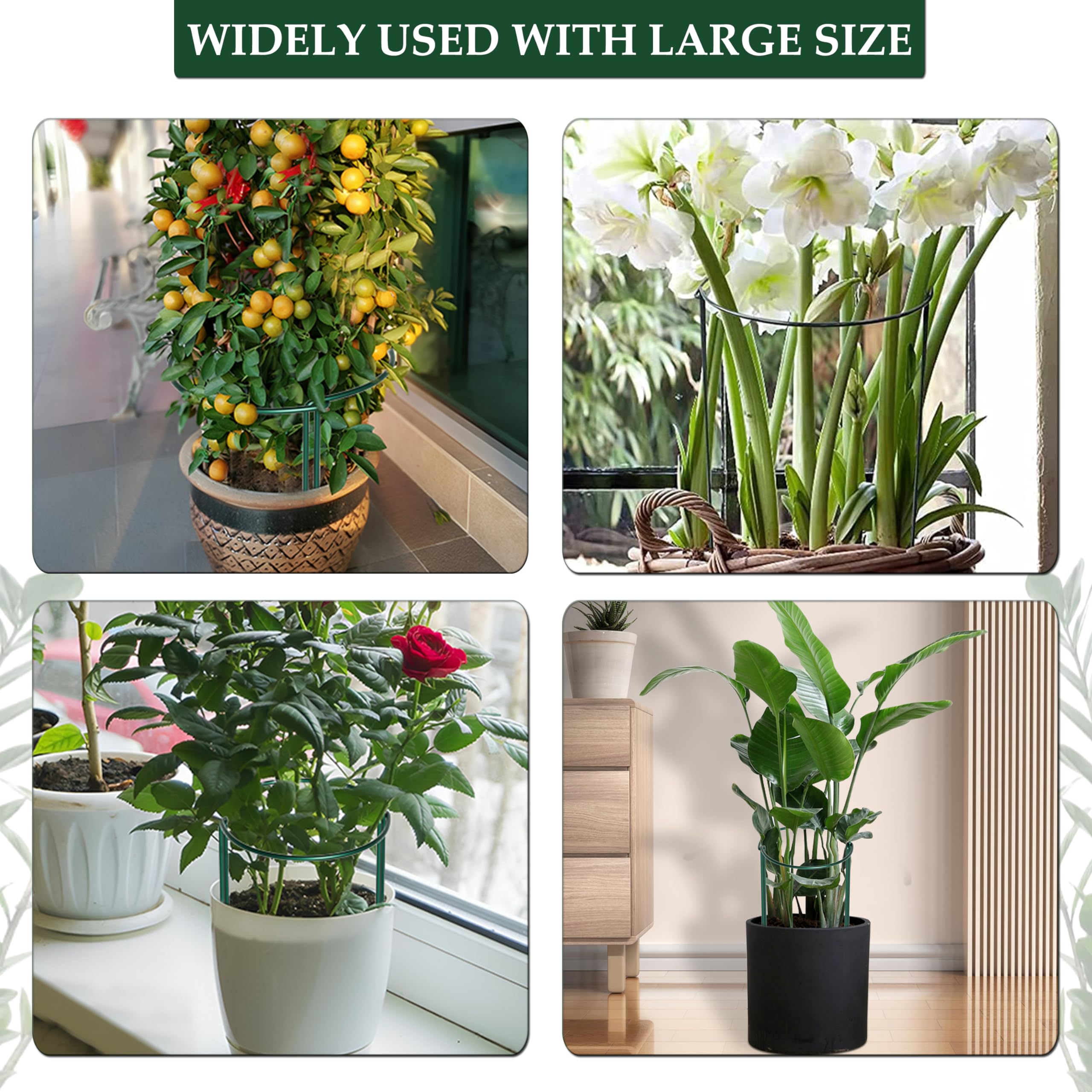 Relaxdays 10x Rete Per Piante Rampicanti, 180x360 Cm | WhichOne