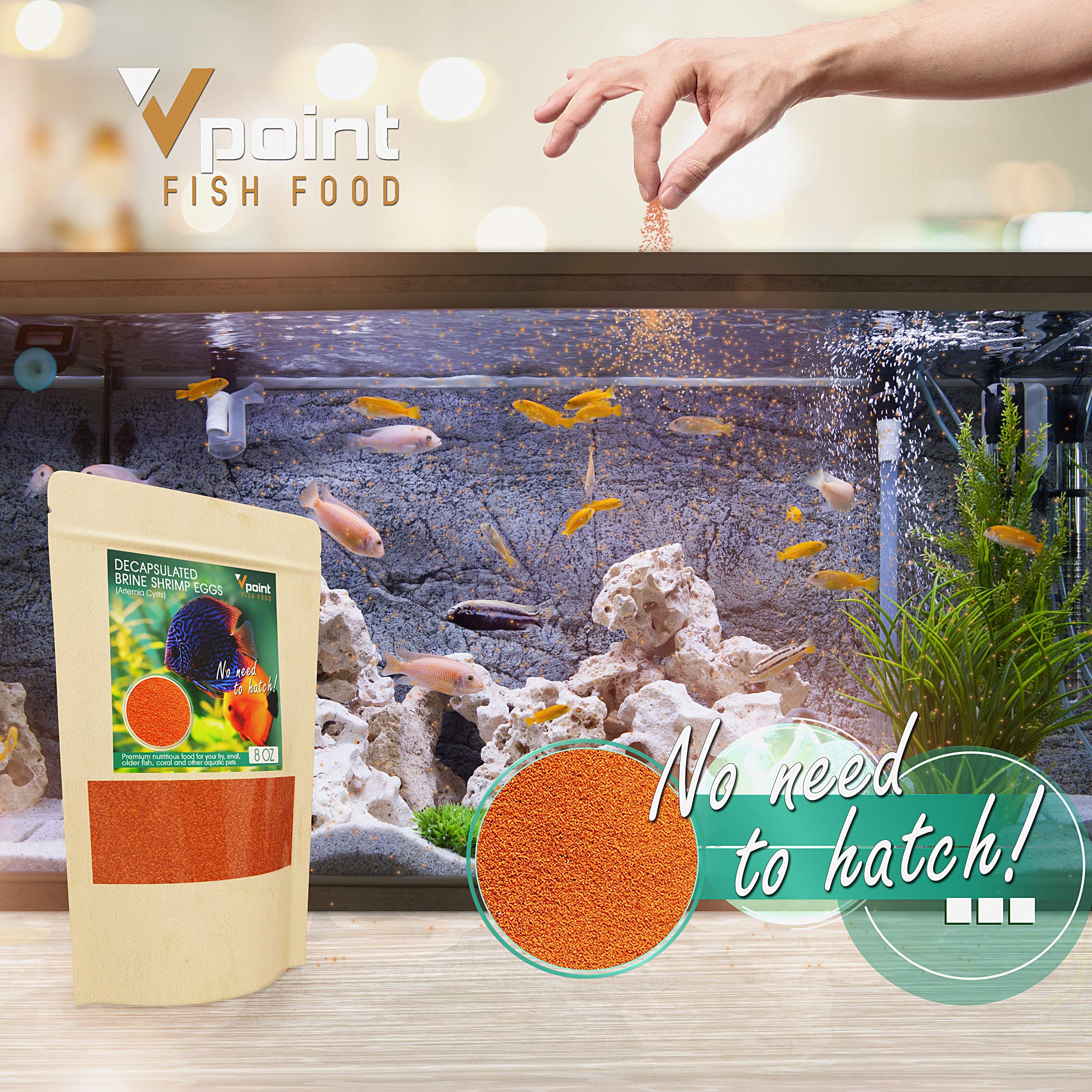 Decapsulated Brine Shrimp Eggs, Premium Fish Food, Deluxe Fresh Feeder