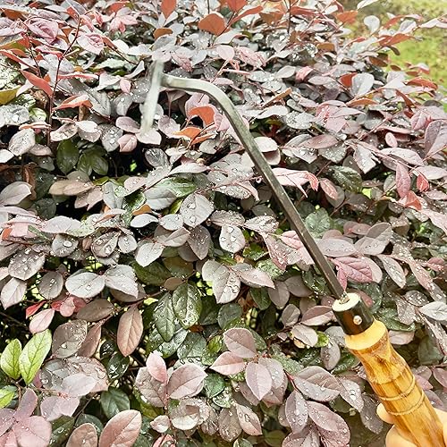 Miniatura 9 de alanx Hoz japonesa de la maleza de la mano de la jardinería de 12 pulgadas, azada de deshierbe con la manija de madera larga