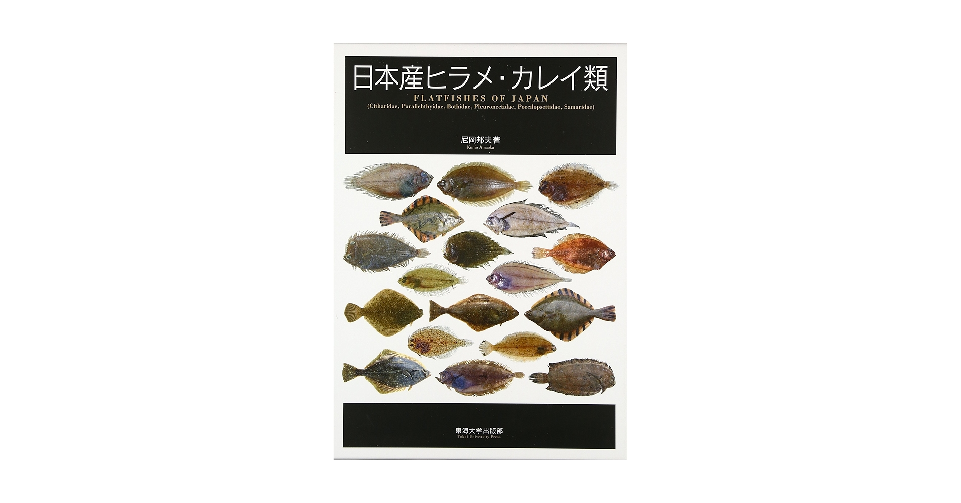 日本産ヒラメ・カレイ類(東海大学出版部) 日本産ヒラメ・カレイ類 | 尼岡 邦夫 |本 | 通販 | Amazon