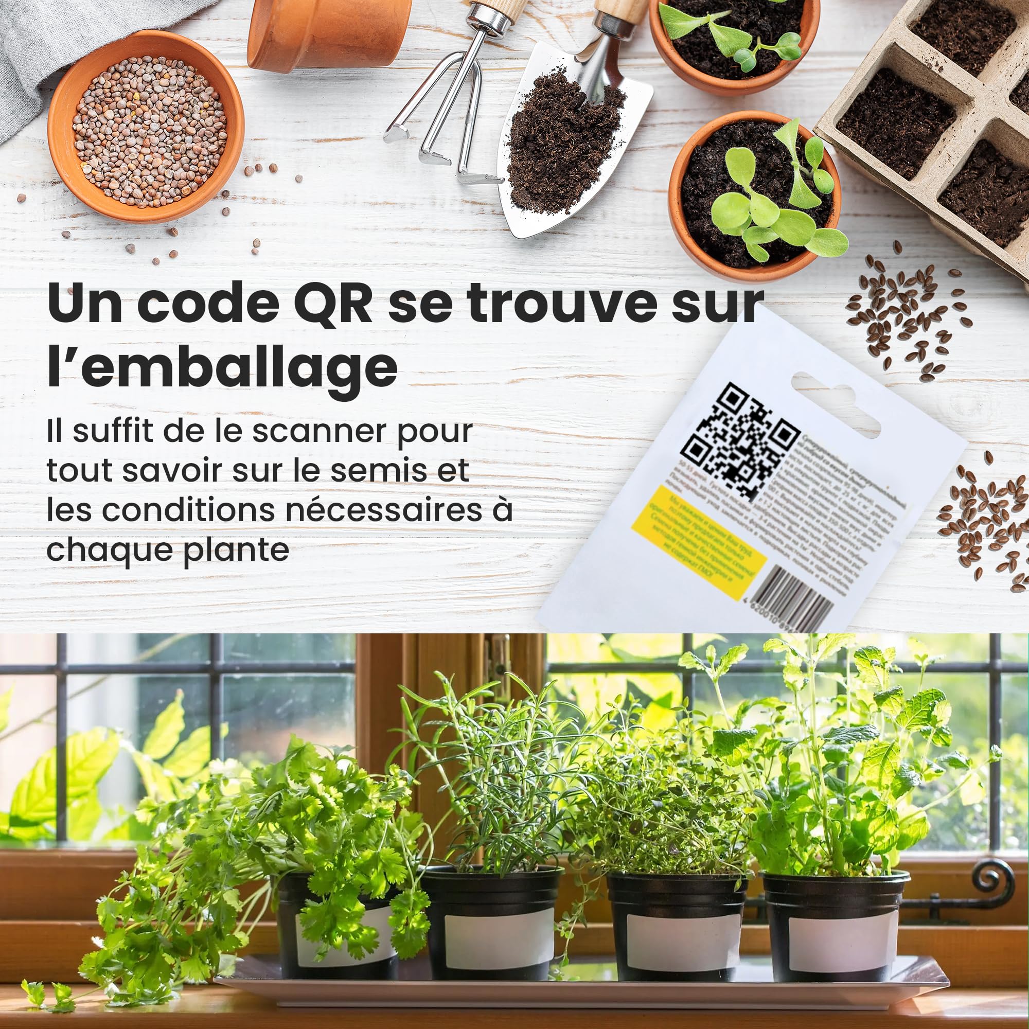 TORAF Kit de Graines de Légumes 15 Variétés – Graine Premium pour Jardin, Balcon et Potager – Tomate, Concombre, Carotte, Poivron, Concombre, Courgette, Radis – Kit de culture de plantes potagères - 4