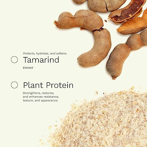 Miniatura 3 de Mascarilla reparadora profunda para cabello seco y rizado, aceite de ricino, biotina, jengibre, sin sulfato, Be Generous by Ginger Milk - 17 oz