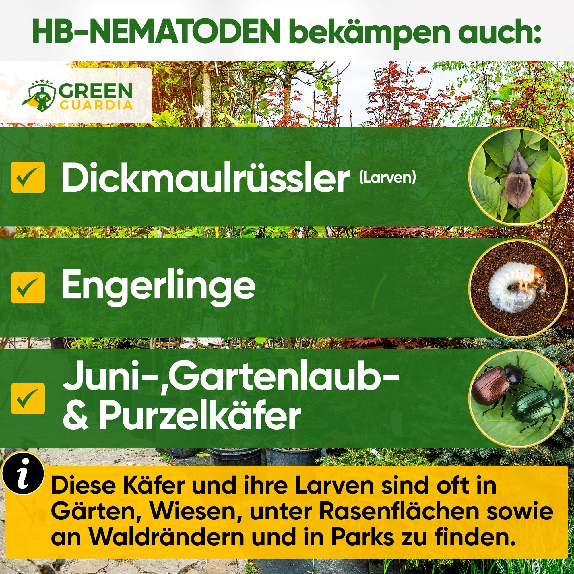GREEN GUARDIA Nematodos Power HB contra gruesos y piel de oveja – 150 millones (300 m²) – Control biológico de plagas, respetuoso con el medio ambiente, libre de químicos, fácil de usar y seguro para