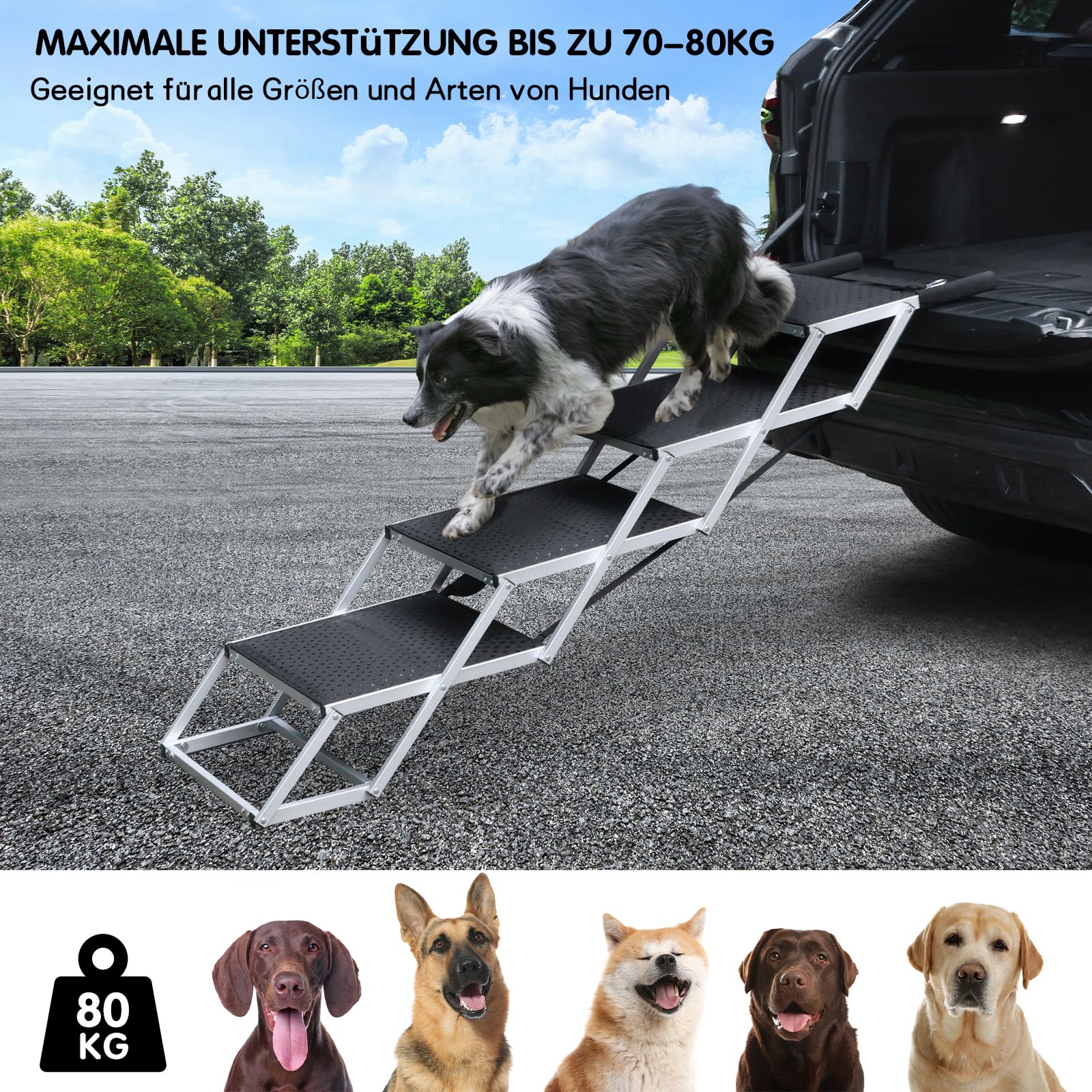 Hundetreppe Auto, 4 Stufen Hunderampe Auto klappbar, Einstiegshilfe Hund Auto für alle Fahrzeuge nutzbar, Höhenverstellbar, Belastbar bis 80 kg