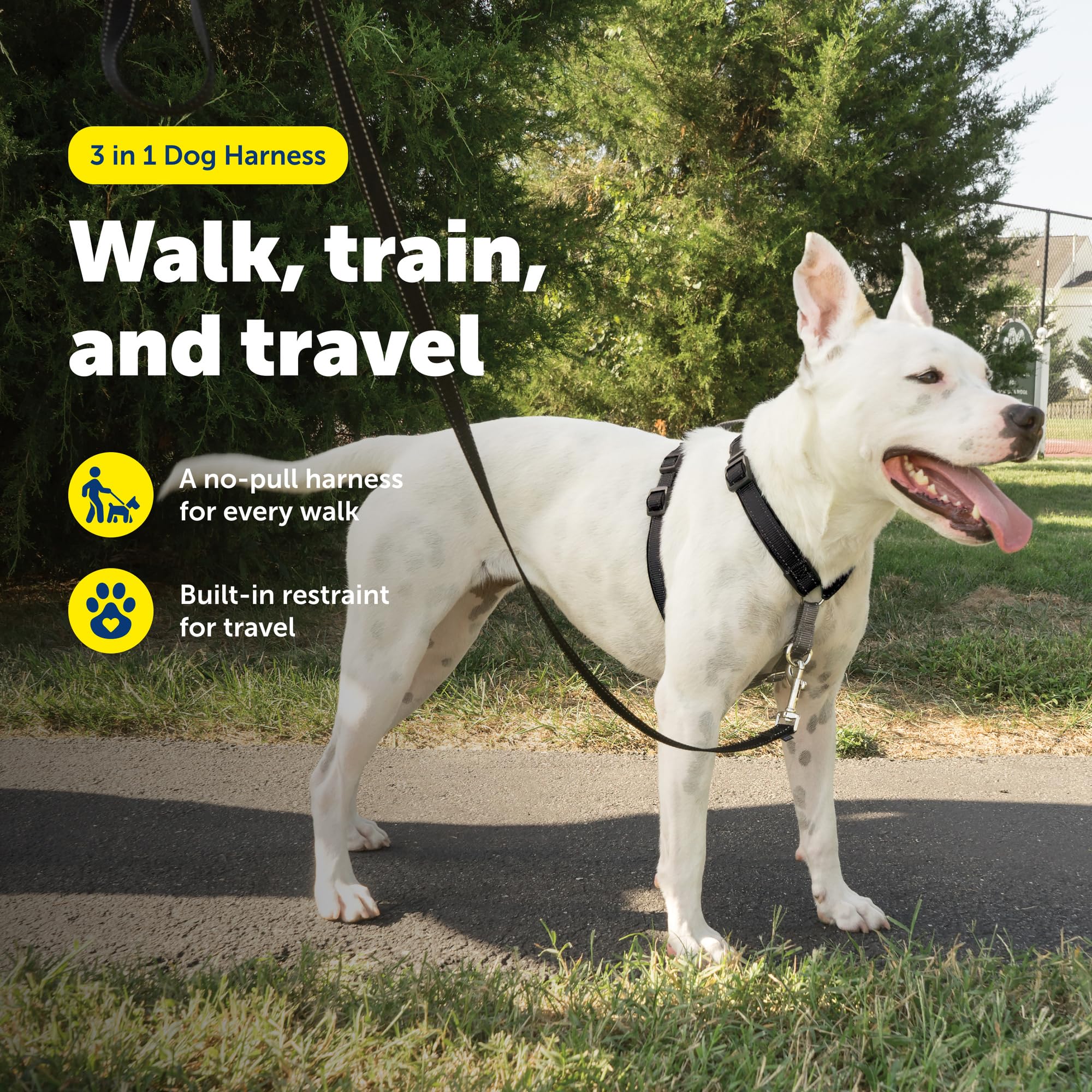 PetSafe Harnais 3 en 1 pour chien, solution pour les chiens qui tirent, harnais réfléchissant, clip en D sur le devant, sangles rembourrées confortables, poignée supérieure, taille M, noir
