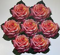 Vista 2 de Hojas de papel pergamino para tablas de queso y embutidos, hojas de Sisson Distribution (paquete de 20) (rosa)