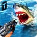 Shark Sniping 2017