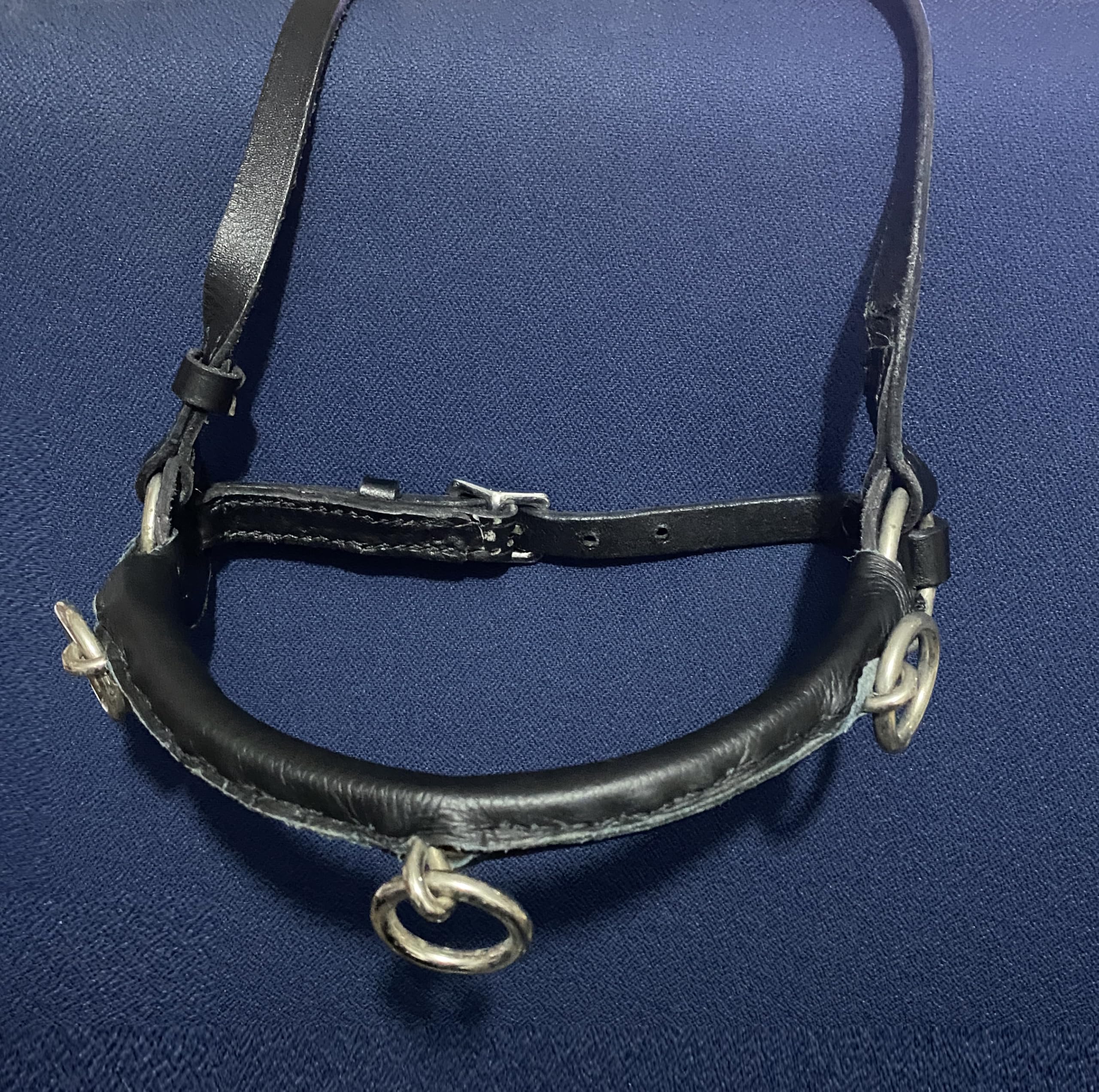 Spire Cavesson Cabalgando de cuero Lunge Bridle Headcollar Negro Para Apuldir y montar Mazorca y Caballos de tamaño completo