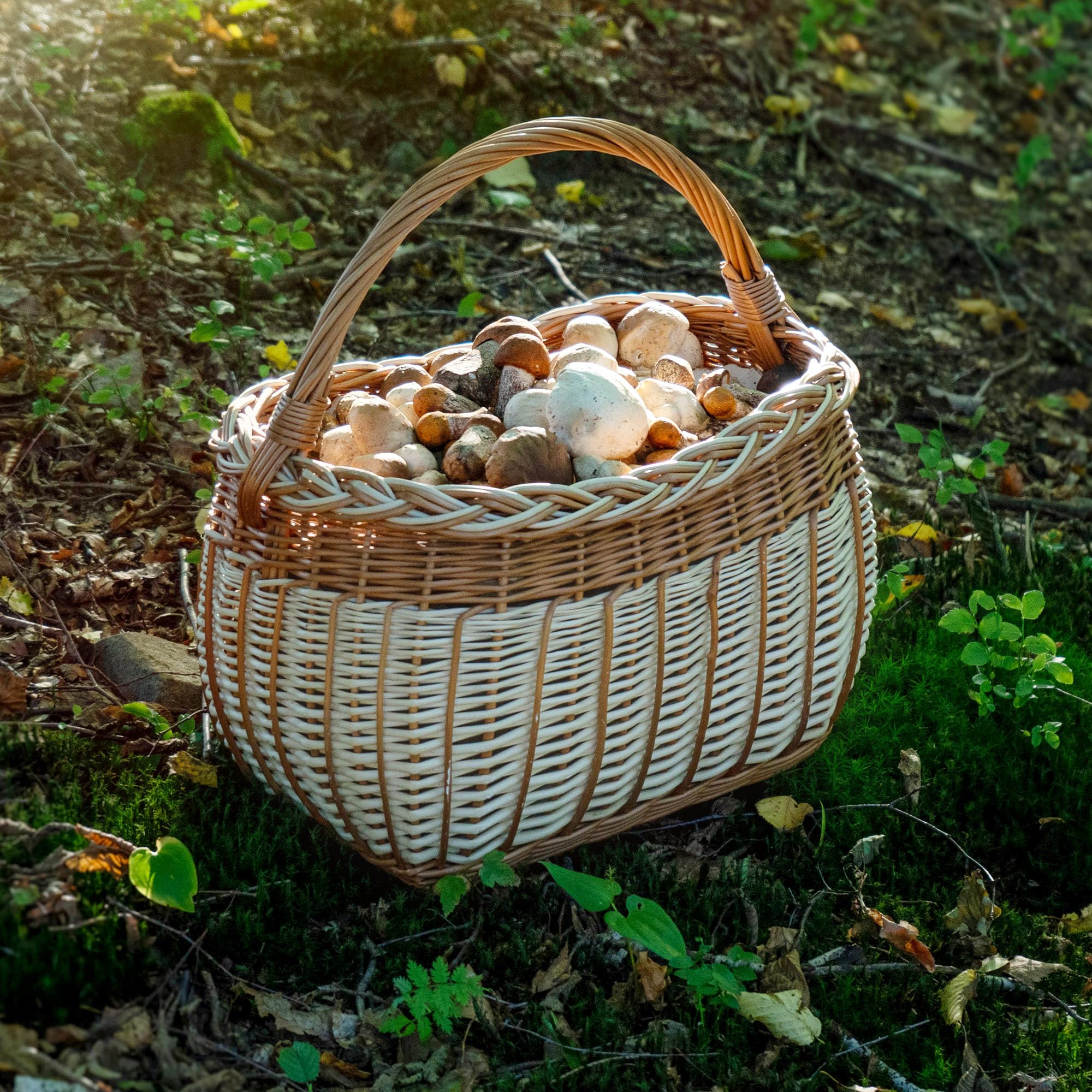 KADAX Panier en osier pour champignons, ovale, robuste, avec poignée de poignée, pour le jardin, le transport, 31 x 26 x 41 cm