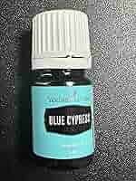 ヤングリヴィング　BLUE CYPRESS 5ml 2本 ヤングリヴィングBLUE CYPRESS 5ml 2本