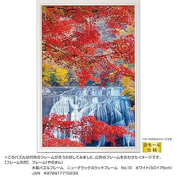 薔薇のかがやき F.MORTELMANS やのまん ジグソー パズル Amazon | 薔薇のかがやき FMORTELMANS やのまん ジグソー パズル