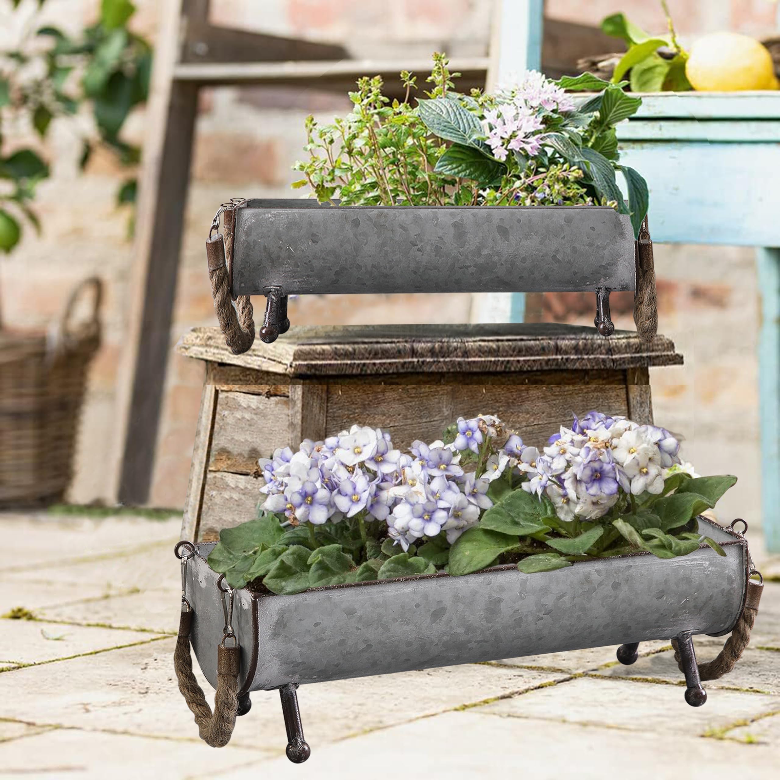 SOFE Juego de 2 comederos de pollo de metal galvanizado para aves de corral, comedero de mesa de picnic de pollo de granja, maceta de pollo, bandeja galvanizada decorativa con forma de paso, 15 y 13