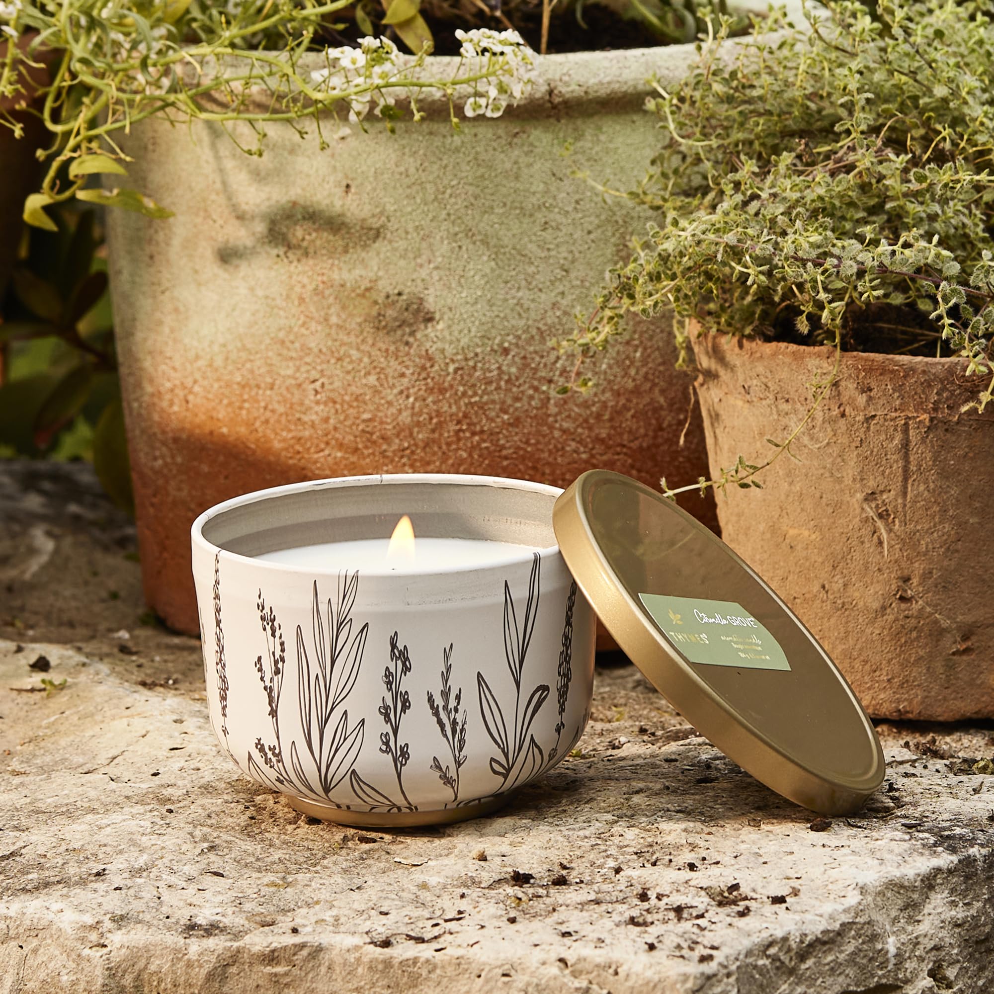 Thymes Citronella Grove Poured Candle Tin, złota pokrywka (185 g)