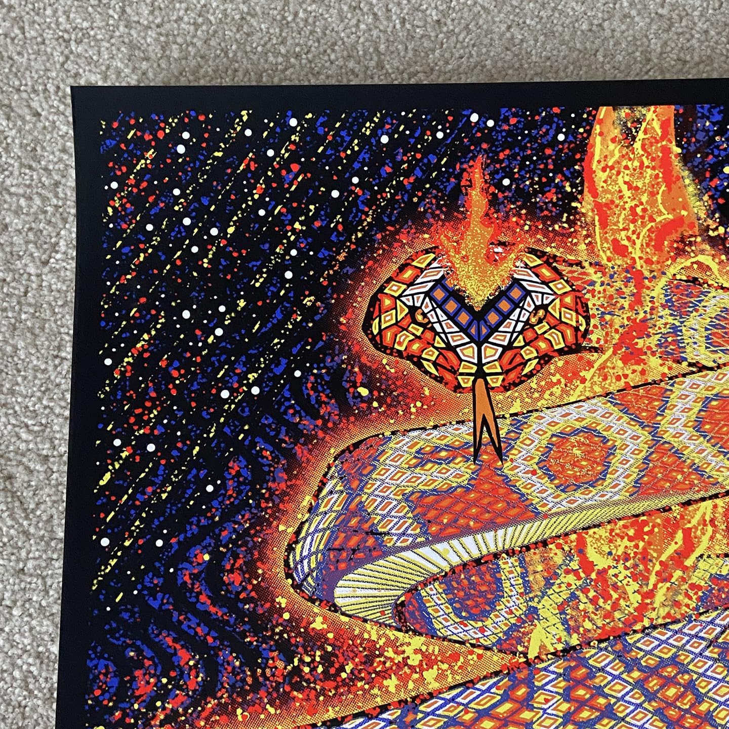 Amazon.com: Foo Fighters 2023 10/5 El Paso TX Brad Klausen