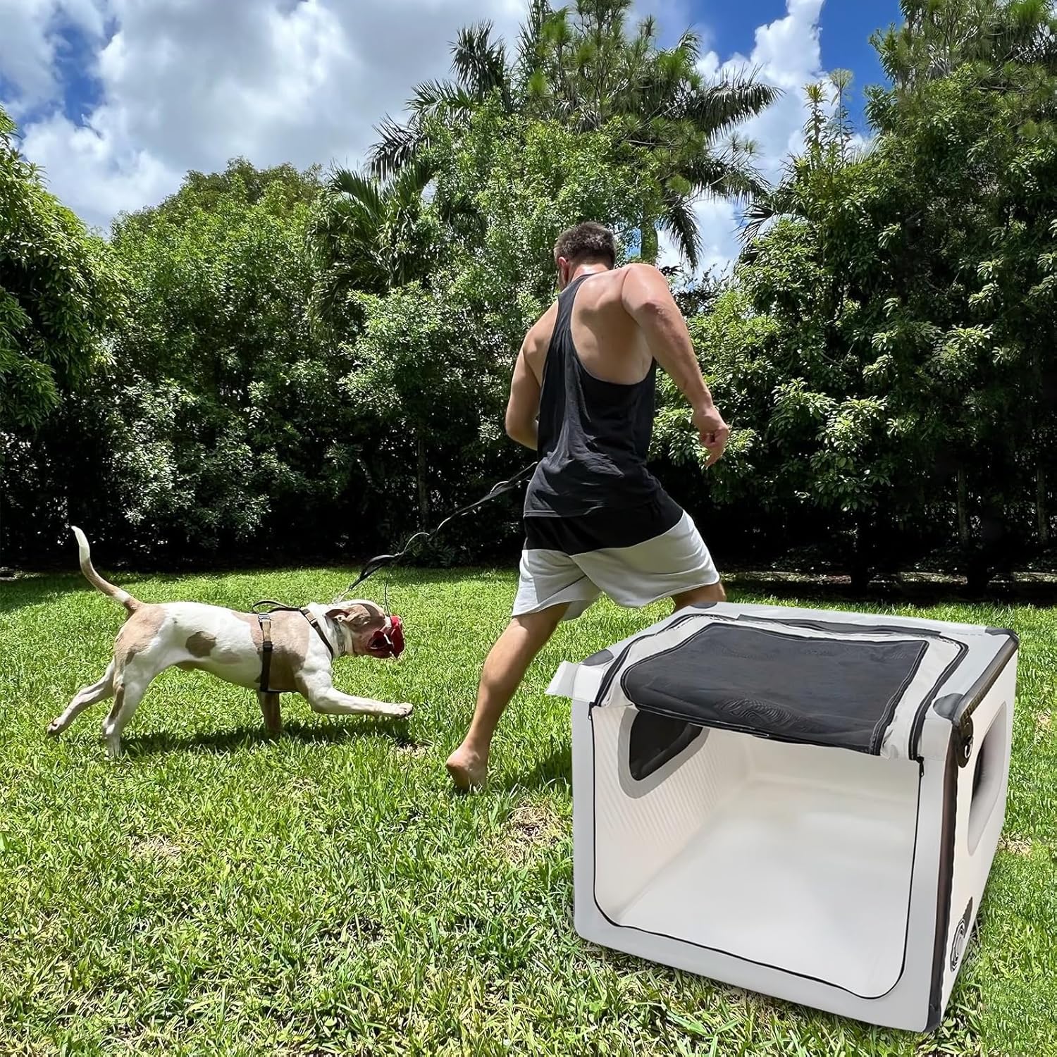 Collapsible Dog Kennel Indoor, Outdoor- Portable Soft Dog Crate for Medium Dogs, Safety Foldable Dog Cage for Car Home 31’’Lx35’’Wx25’’H