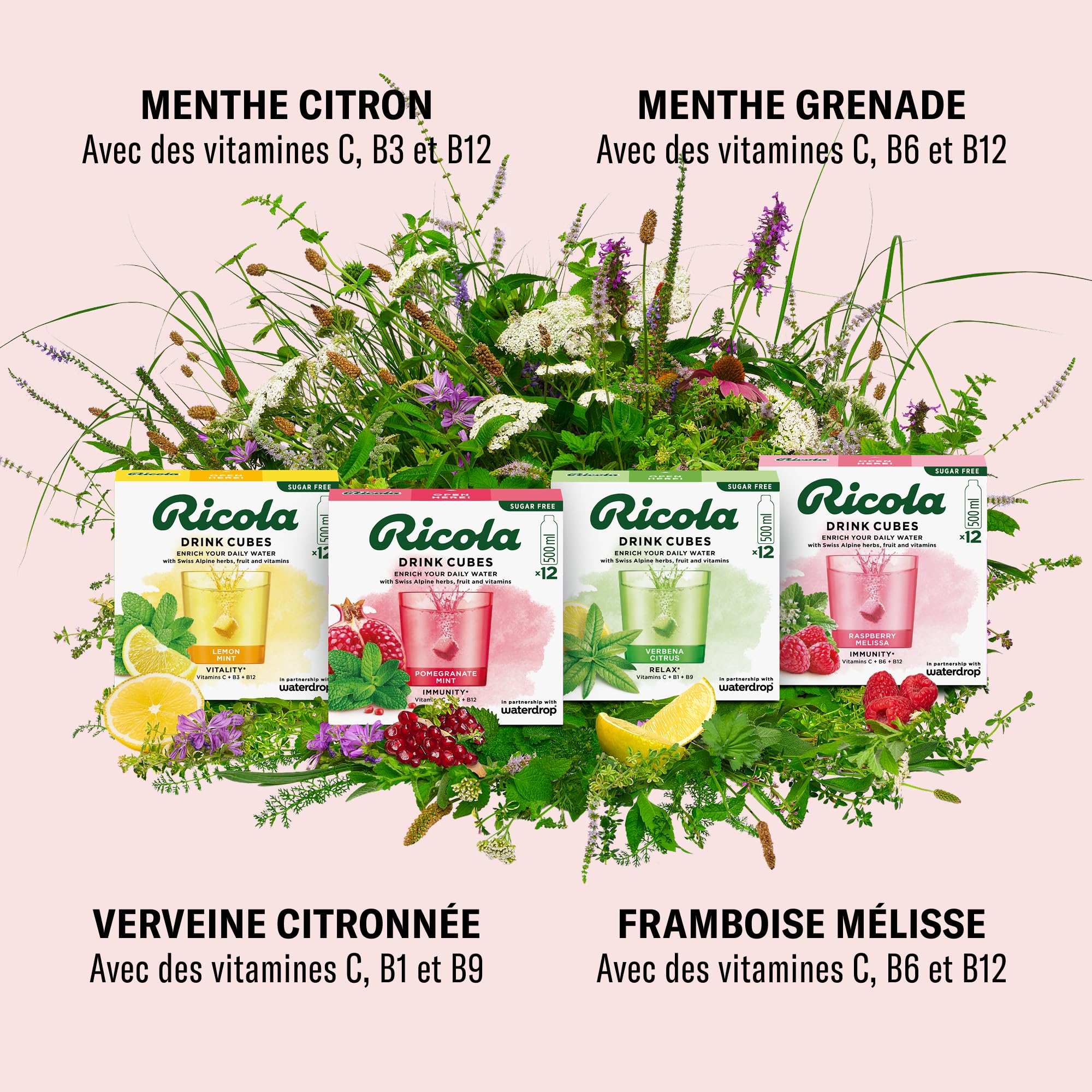 waterdrop® x Ricola - 48 Pastilles Pour Boisson en Saveurs Verveine Citronnée, Grenade Menthe, Framboise Mélisse & Citron Menthe, Cubes de Boisson Vegan, Vitamine C & B, Eau Aromatisée Sans Sucre