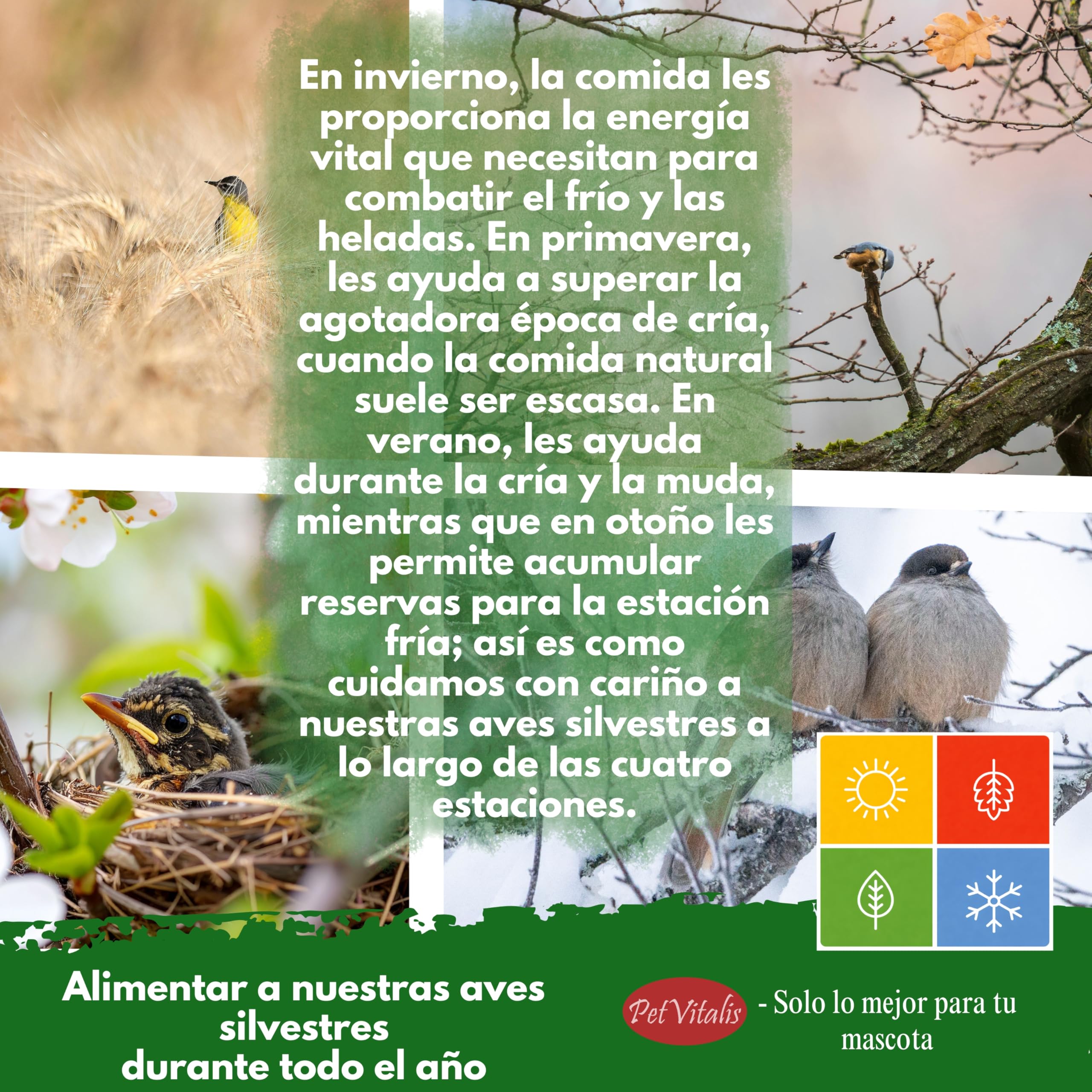 Gusanos de harina deshidratados: alimento Aves Silvestres, Snack Rico en proteínas para Peces, Reptiles y roedores, Ideal como complemento alimenticio Natural. (5 kg)