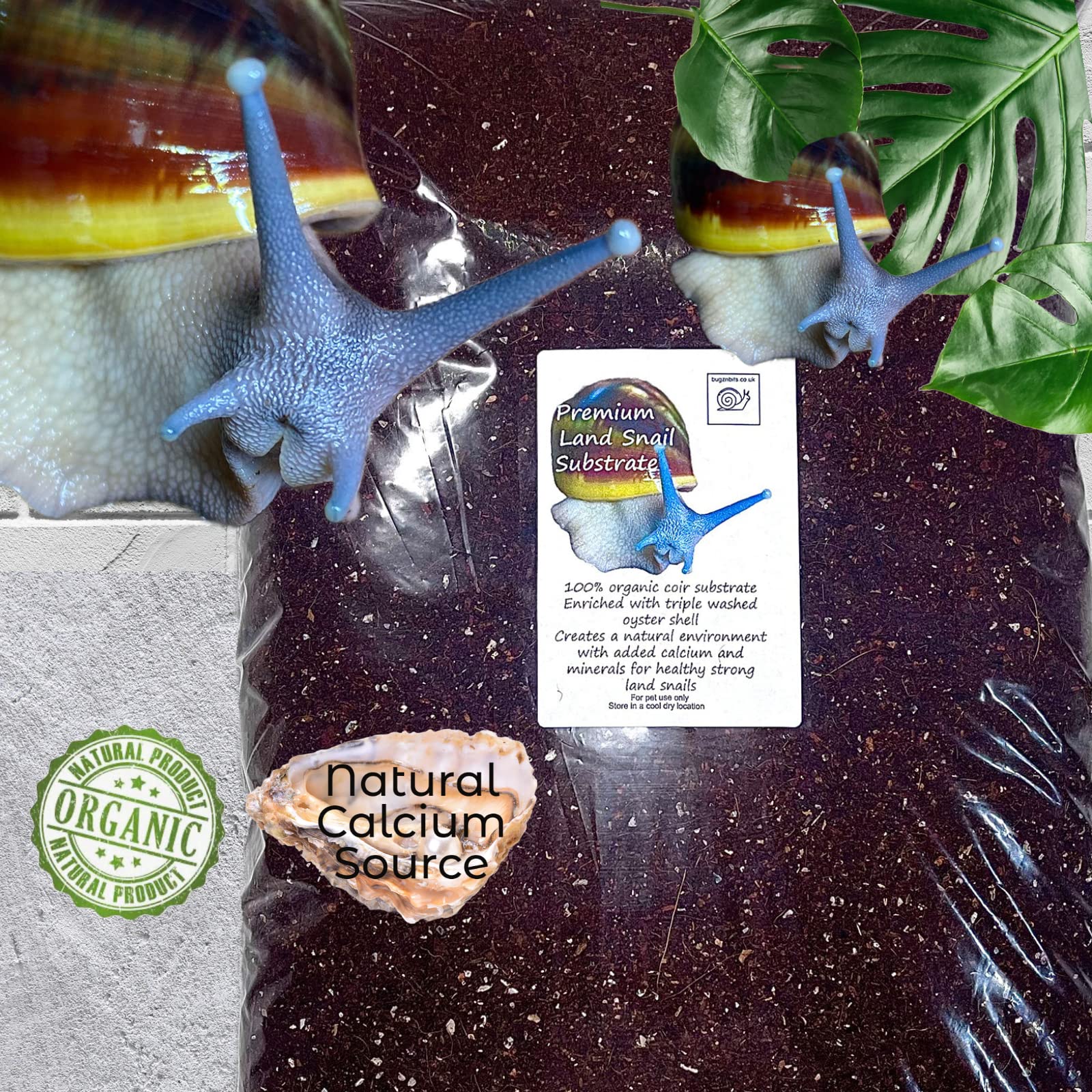 Bugznbits Premium Land Snail Substrate. African land snail substrate, coco coir (24 litre)