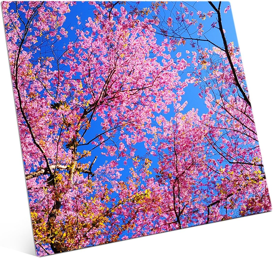 Picture Wall Art Your Photo on Custom Aluminum Metal 24 x 20 Horizontal Print - Proudly Made in the USA!